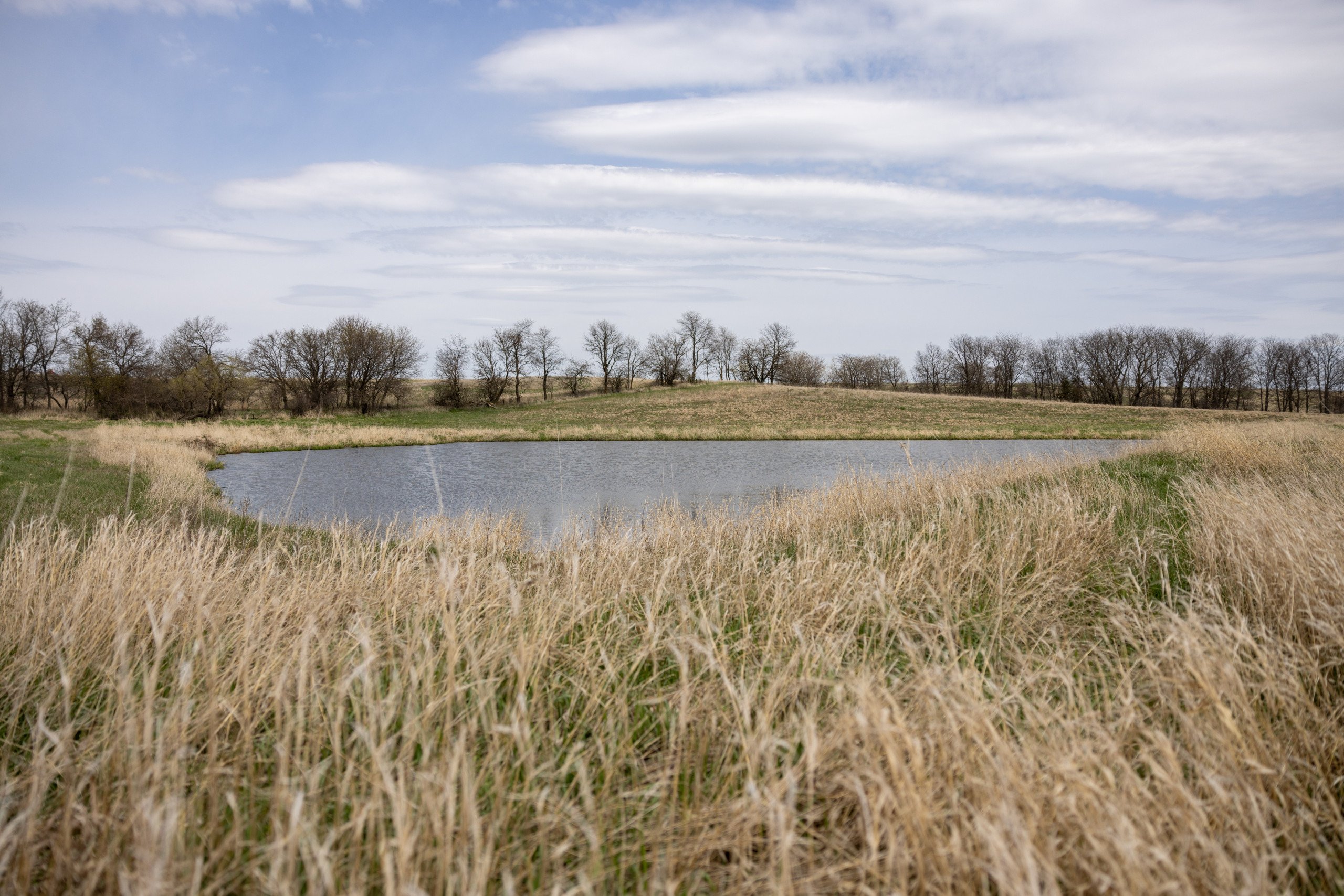 residential-land-clarke-county-iowa-40-acres-listing-number-16152-0M4A7221-5.jpg