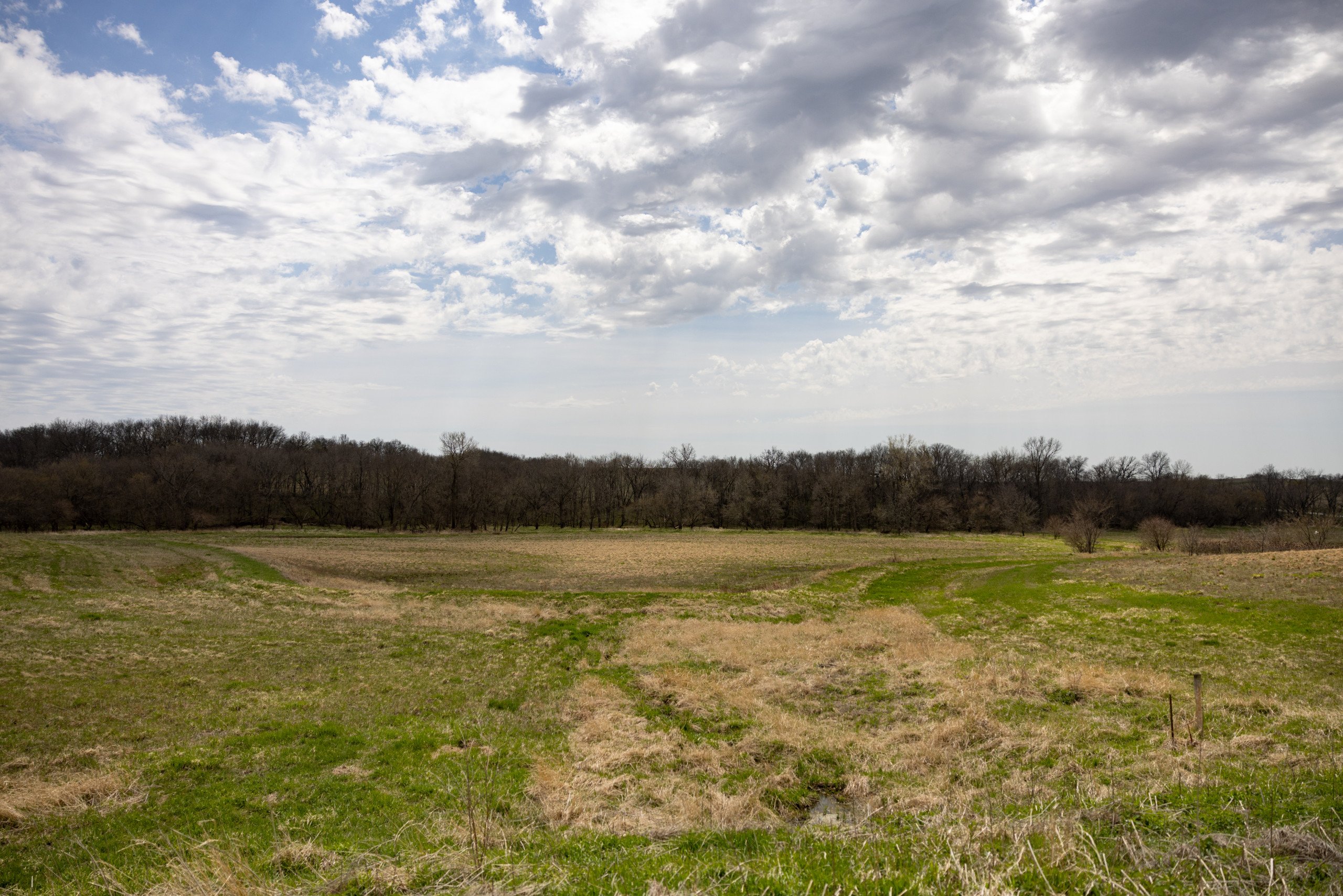 residential-land-clarke-county-iowa-40-acres-listing-number-16152-0M4A7231-1.jpg