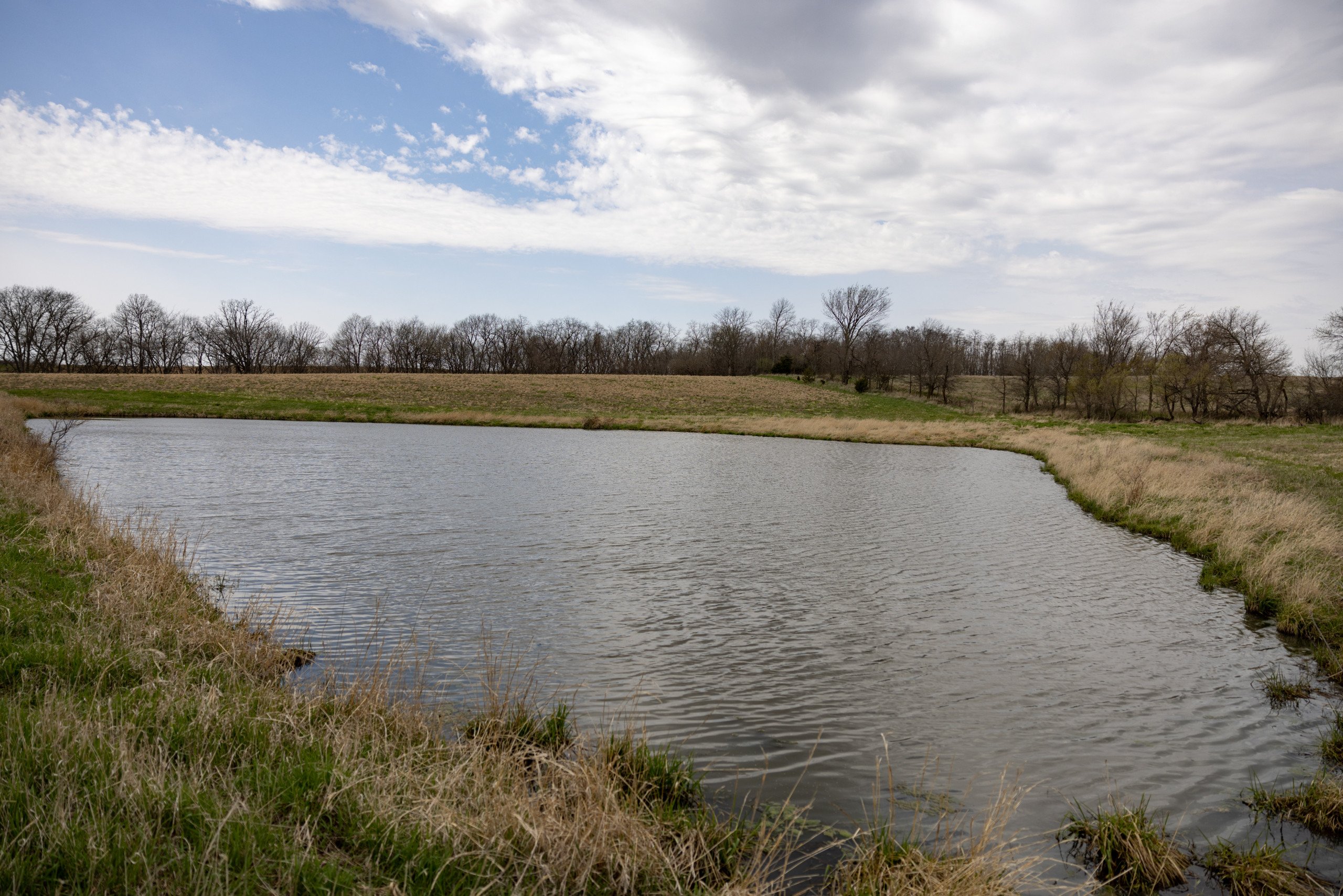 residential-land-clarke-county-iowa-40-acres-listing-number-16152-0M4A7236-2.jpg