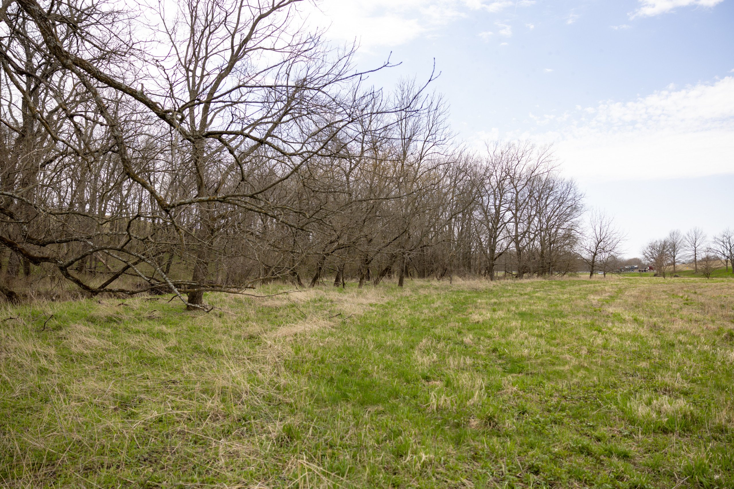 residential-land-clarke-county-iowa-40-acres-listing-number-16152-0M4A7240-4.jpg