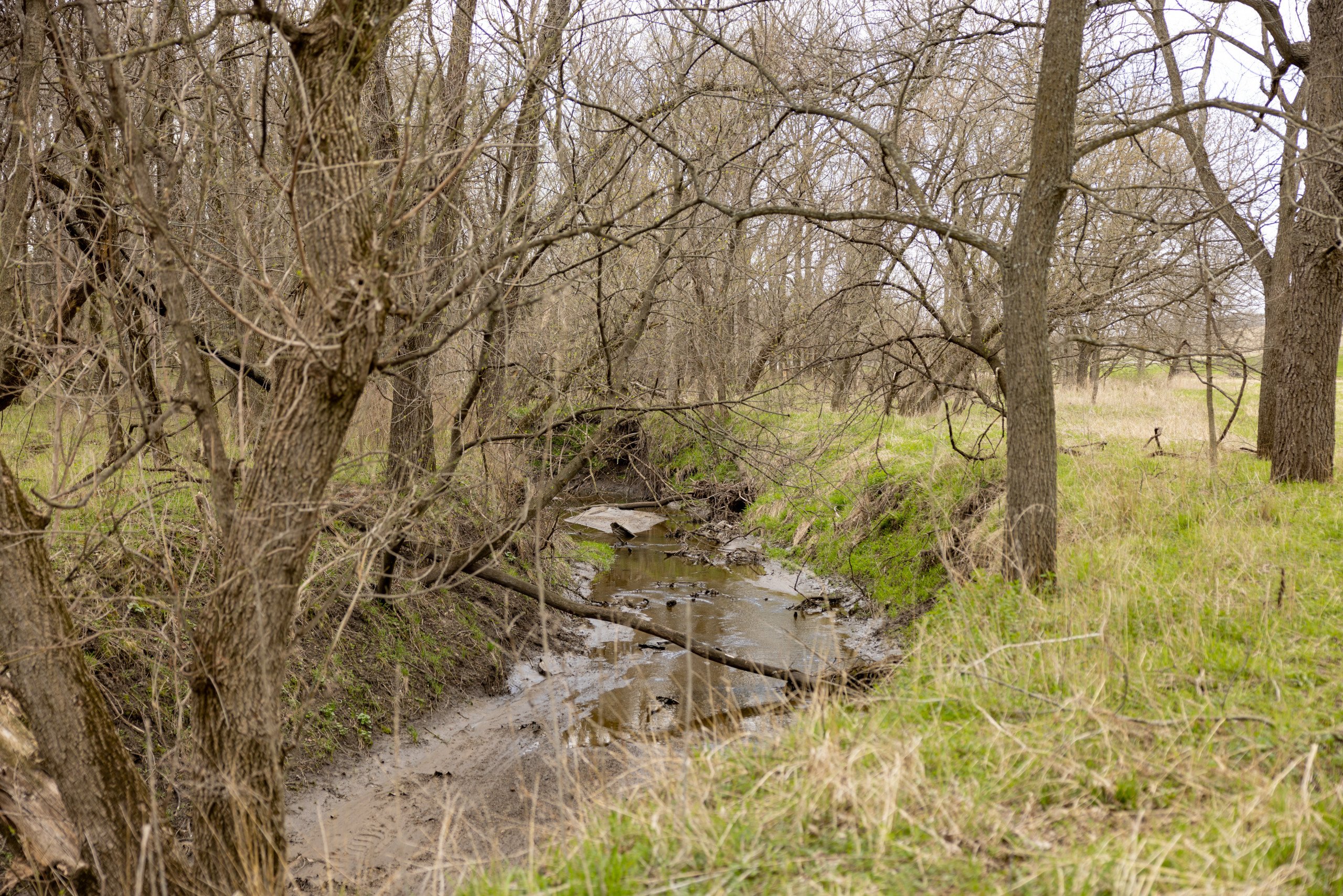 residential-land-clarke-county-iowa-40-acres-listing-number-16152-0M4A7242-5.jpg