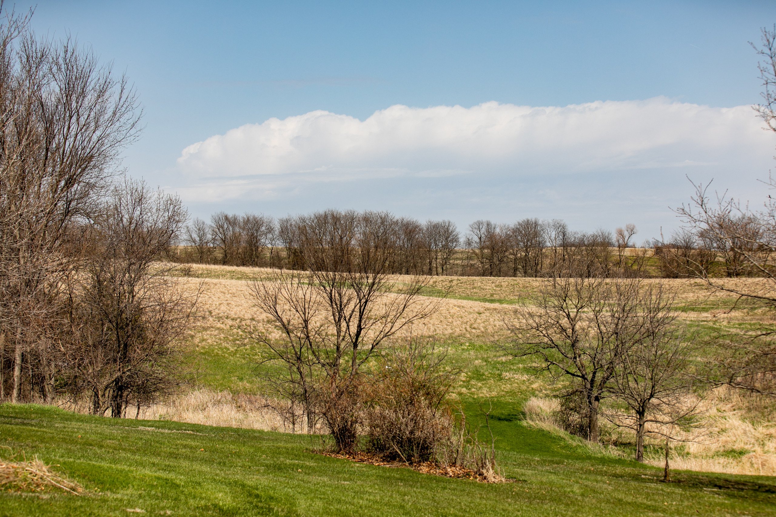 residential-land-clarke-county-iowa-40-acres-listing-number-16152-DH_72058-0.jpg