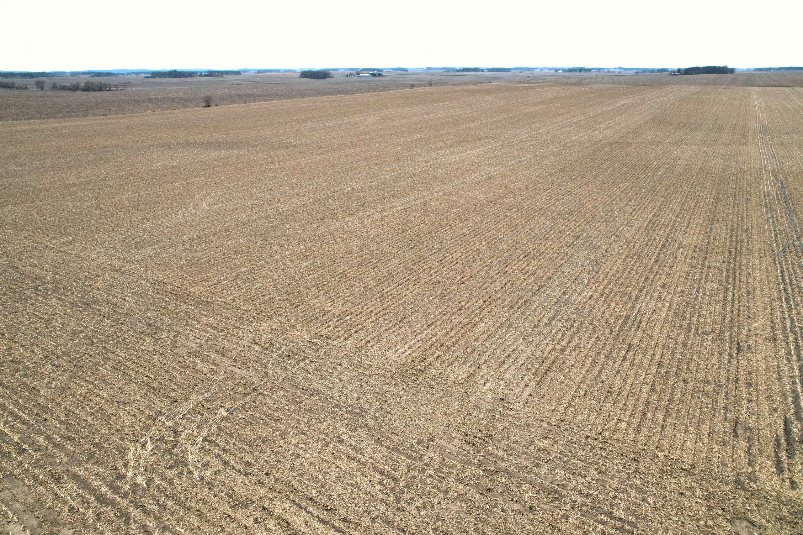 auctions-land-worth-county-iowa-81-acres-listing-number-16159-c-2.jpg