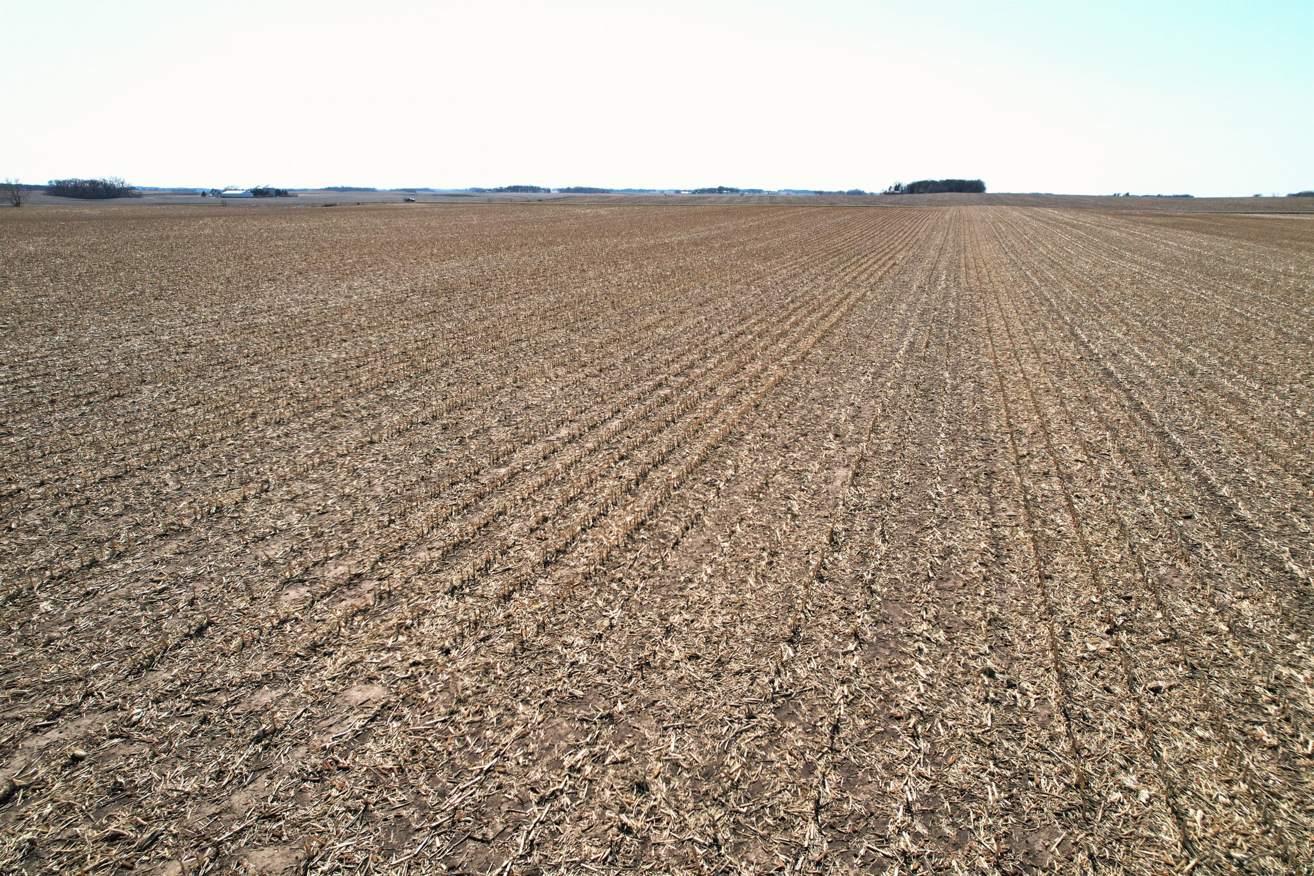 auctions-land-worth-county-iowa-81-acres-listing-number-16159-d-3.jpg