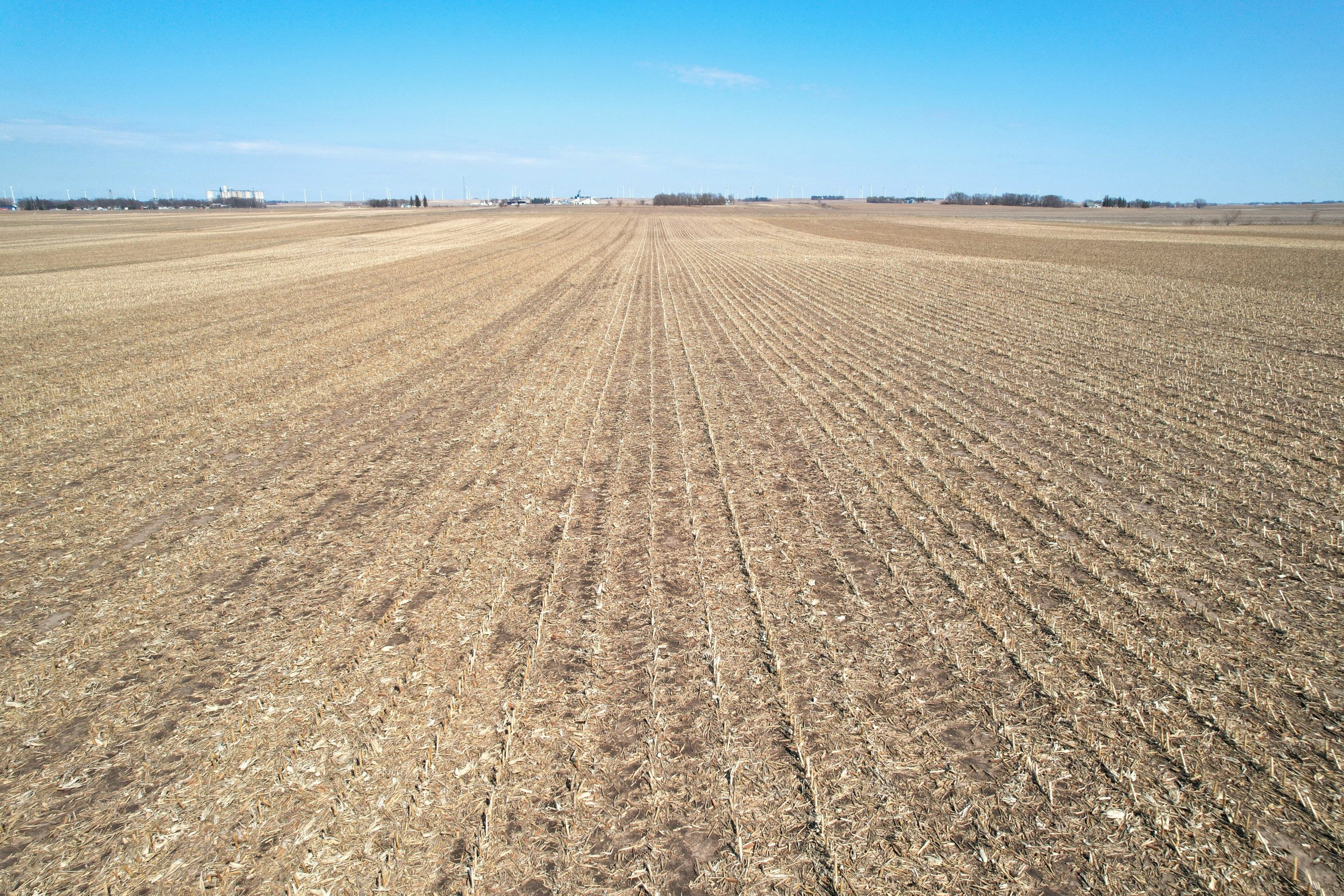 auctions-land-worth-county-iowa-81-acres-listing-number-16159-e-4.jpg