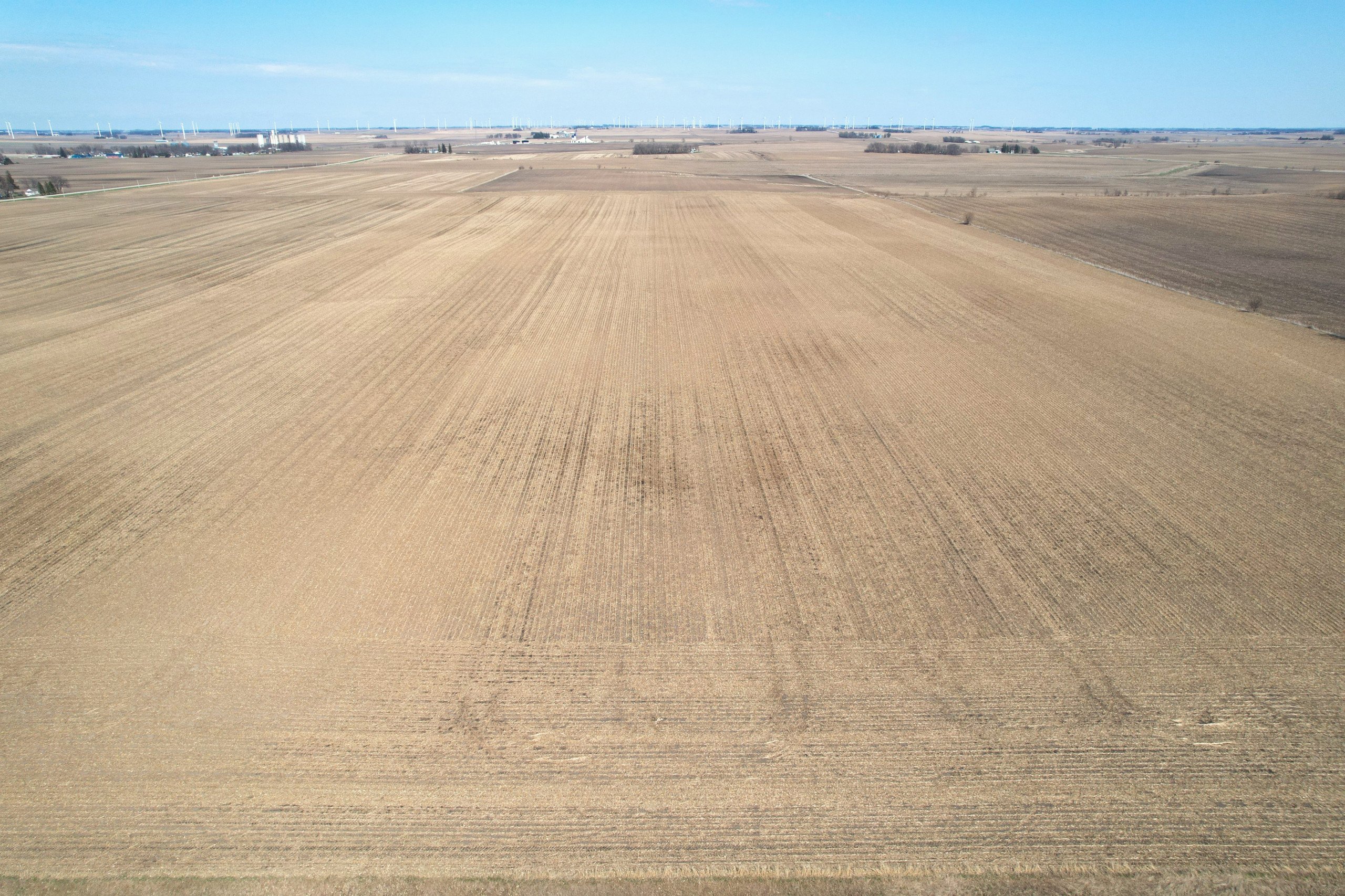 auctions-land-worth-county-iowa-81-acres-listing-number-16159-g-6.jpg