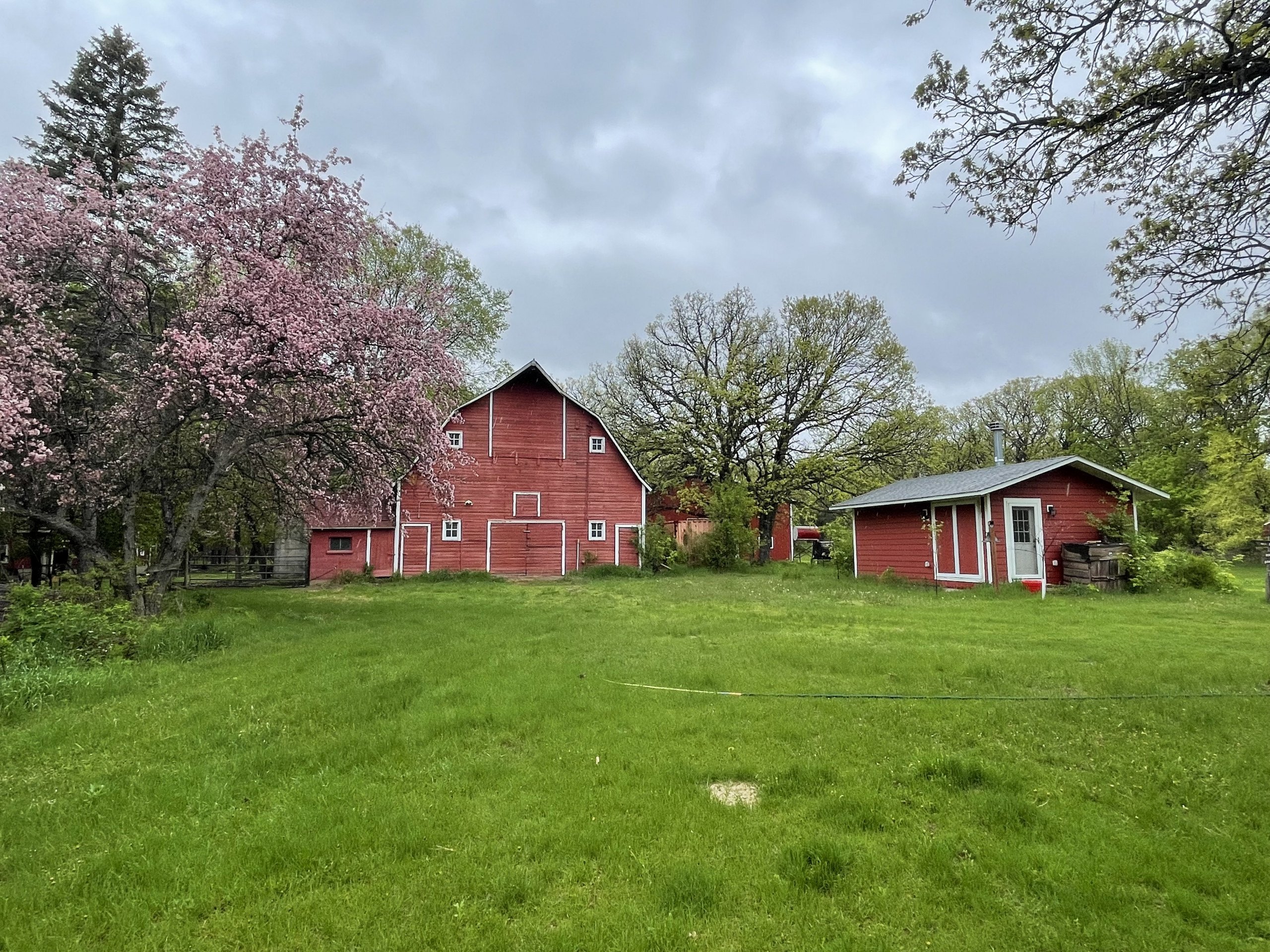 residential-auctions-land-sherburne-county-minnesota-85-acres-listing-number-16161-red barn and she shed main to use-4.jpg