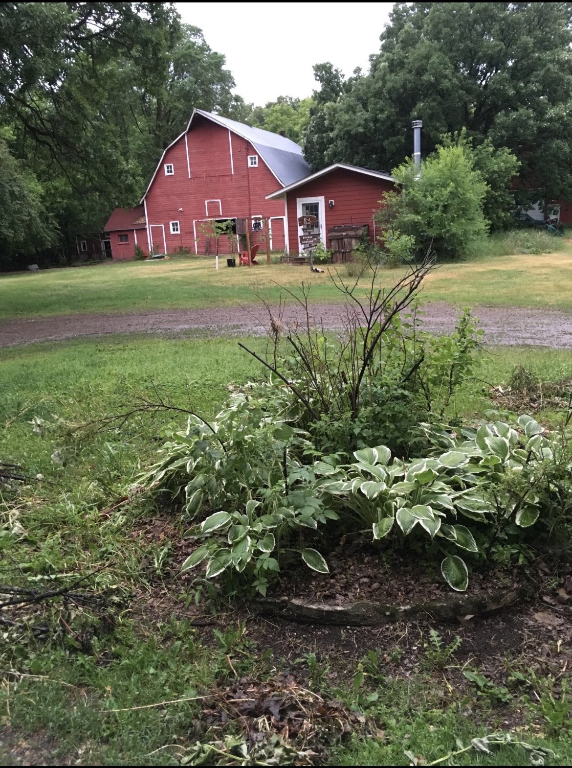 Garden Area -Hobby Farm Clear Lake MN 