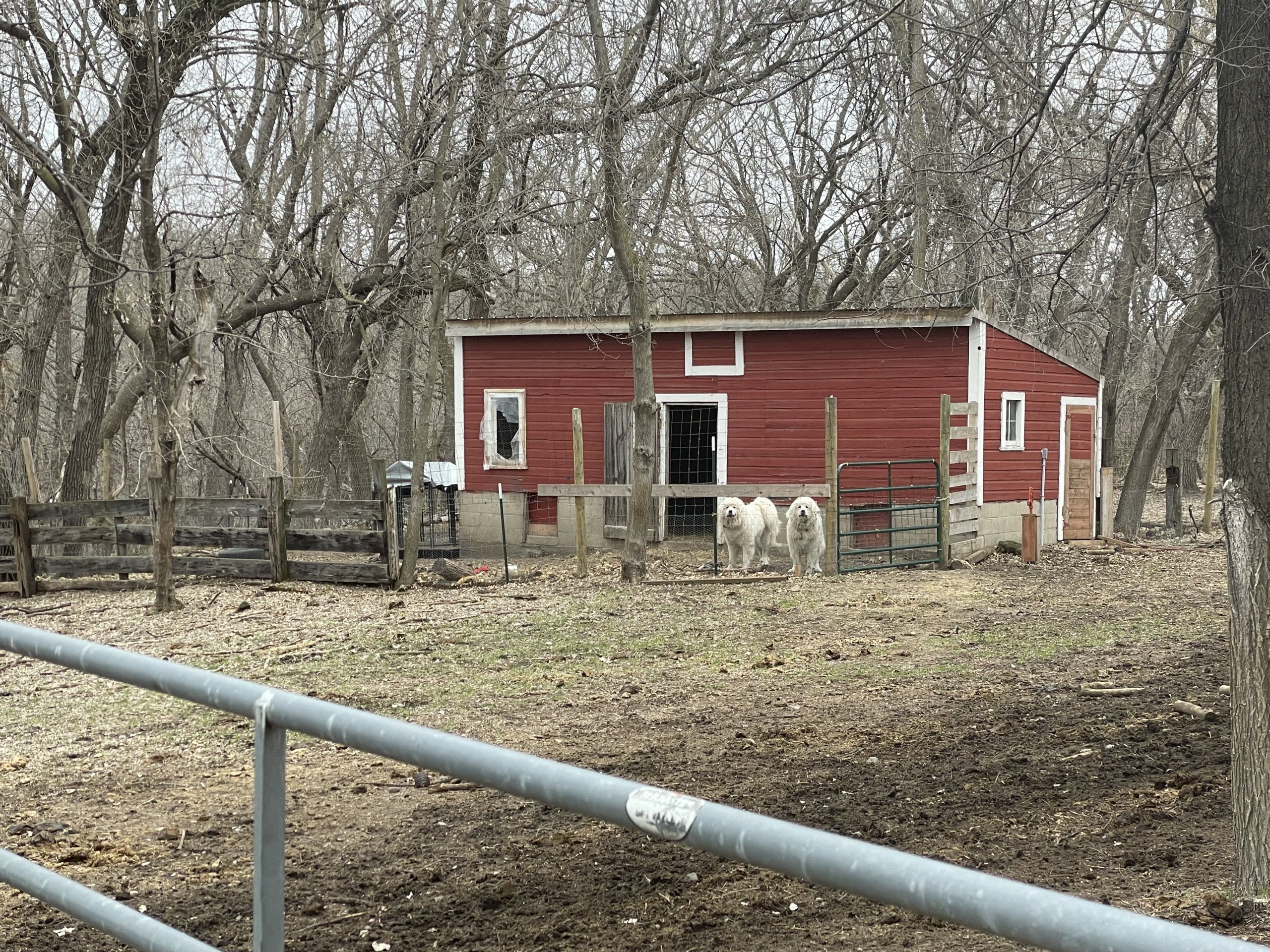 Goat / Small Animal Building Hobby Farm Clear Lake MN 