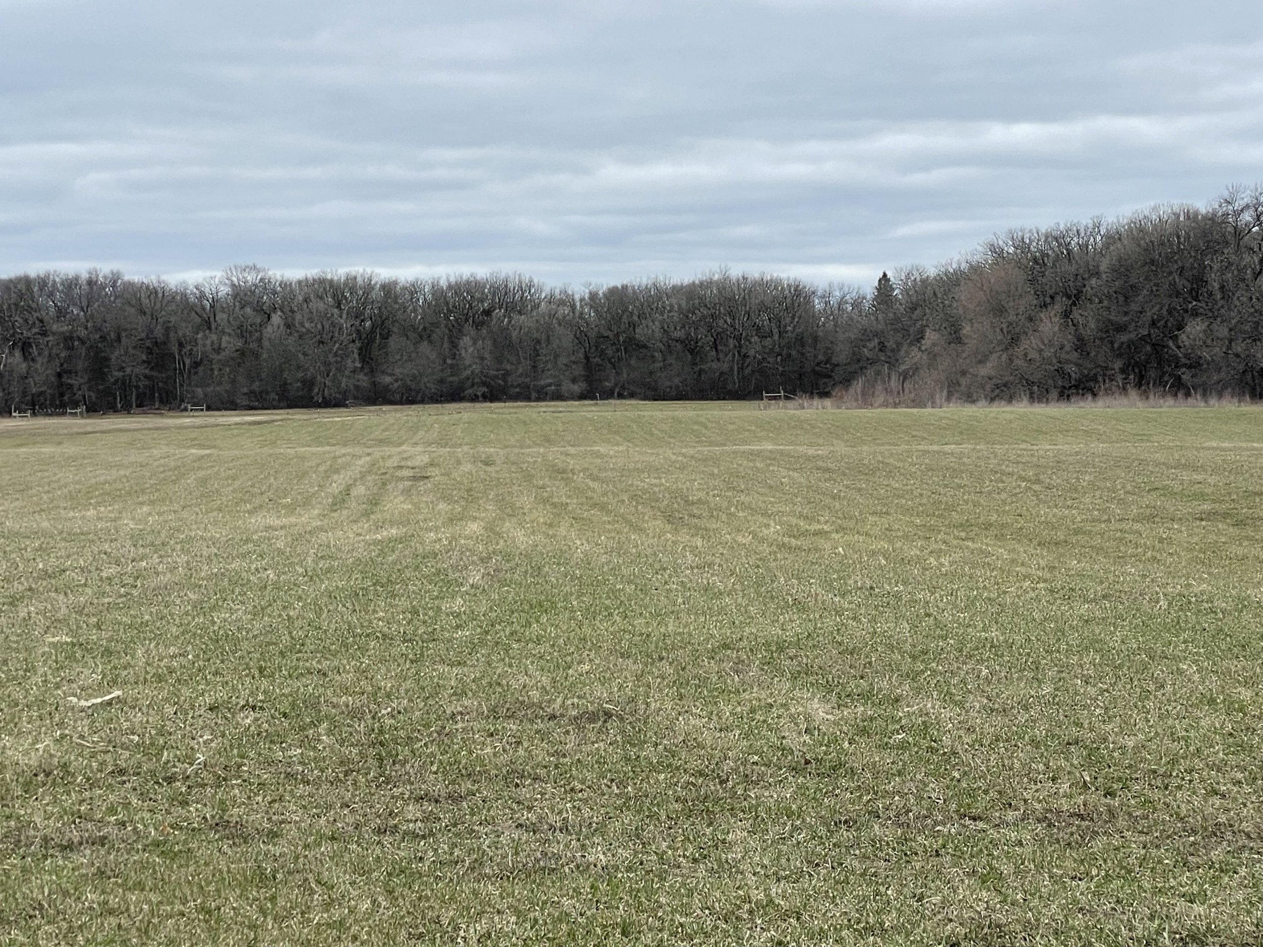 45 Acres Woods and Tillable Ground -Clear Lake MN Land Auction