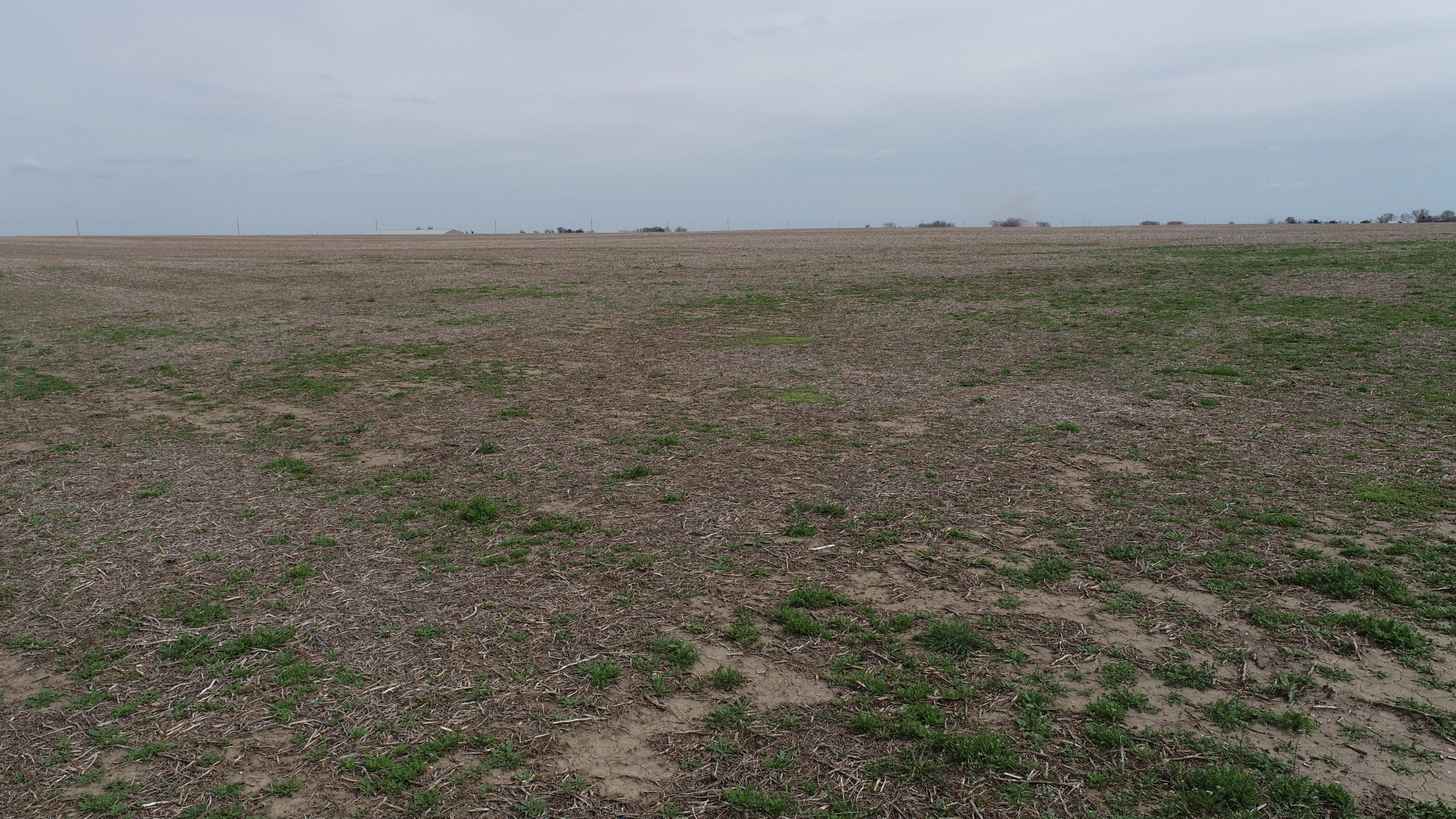 auctions-clinton-county-iowa-164-acres-listing-number-16191-DJI_0249-0.jpg