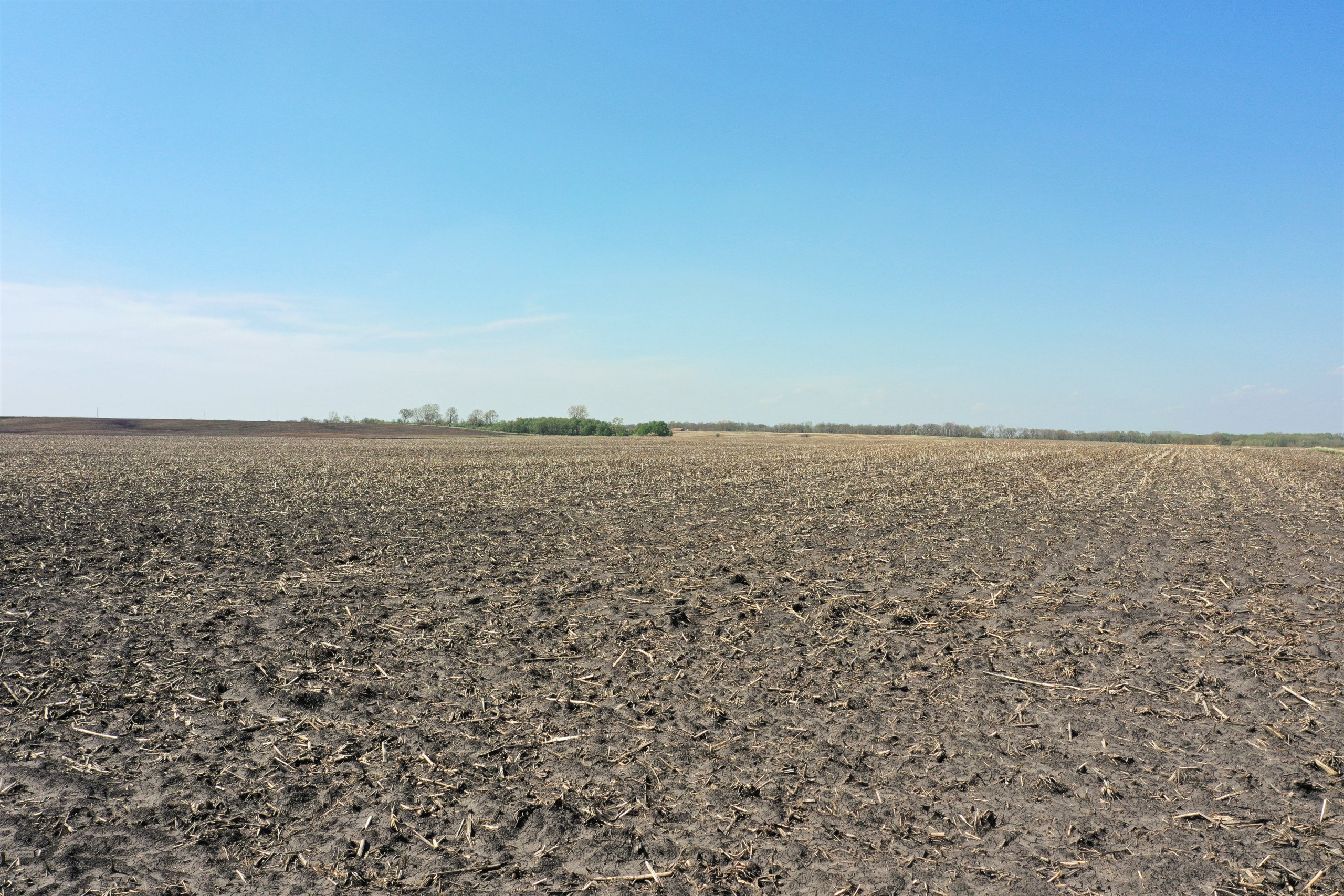 auctions-land-wright-county-iowa-80-acres-listing-number-16197-DJI_0285-0.jpg