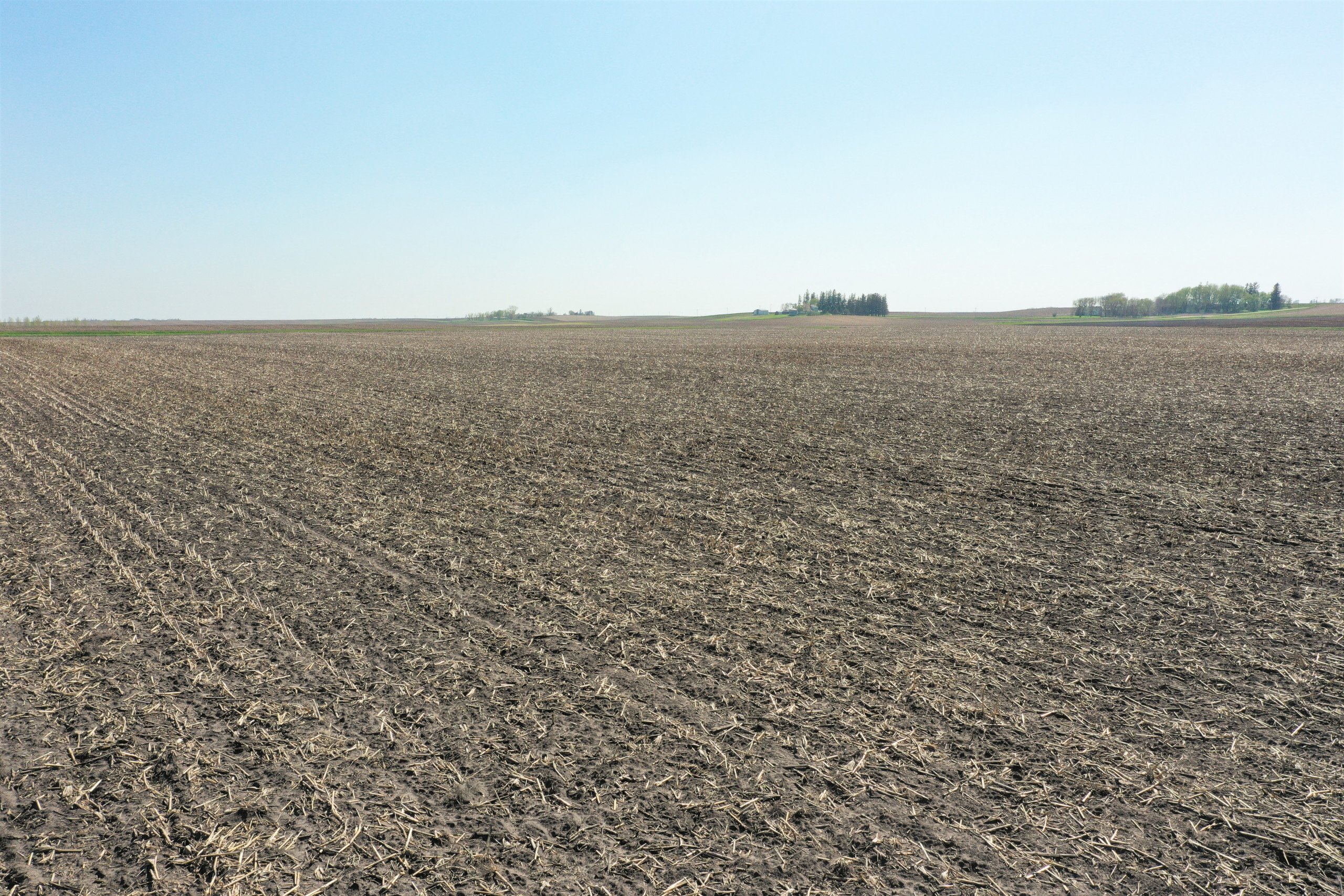 auctions-land-wright-county-iowa-80-acres-listing-number-16197-DJI_0311-3.jpg