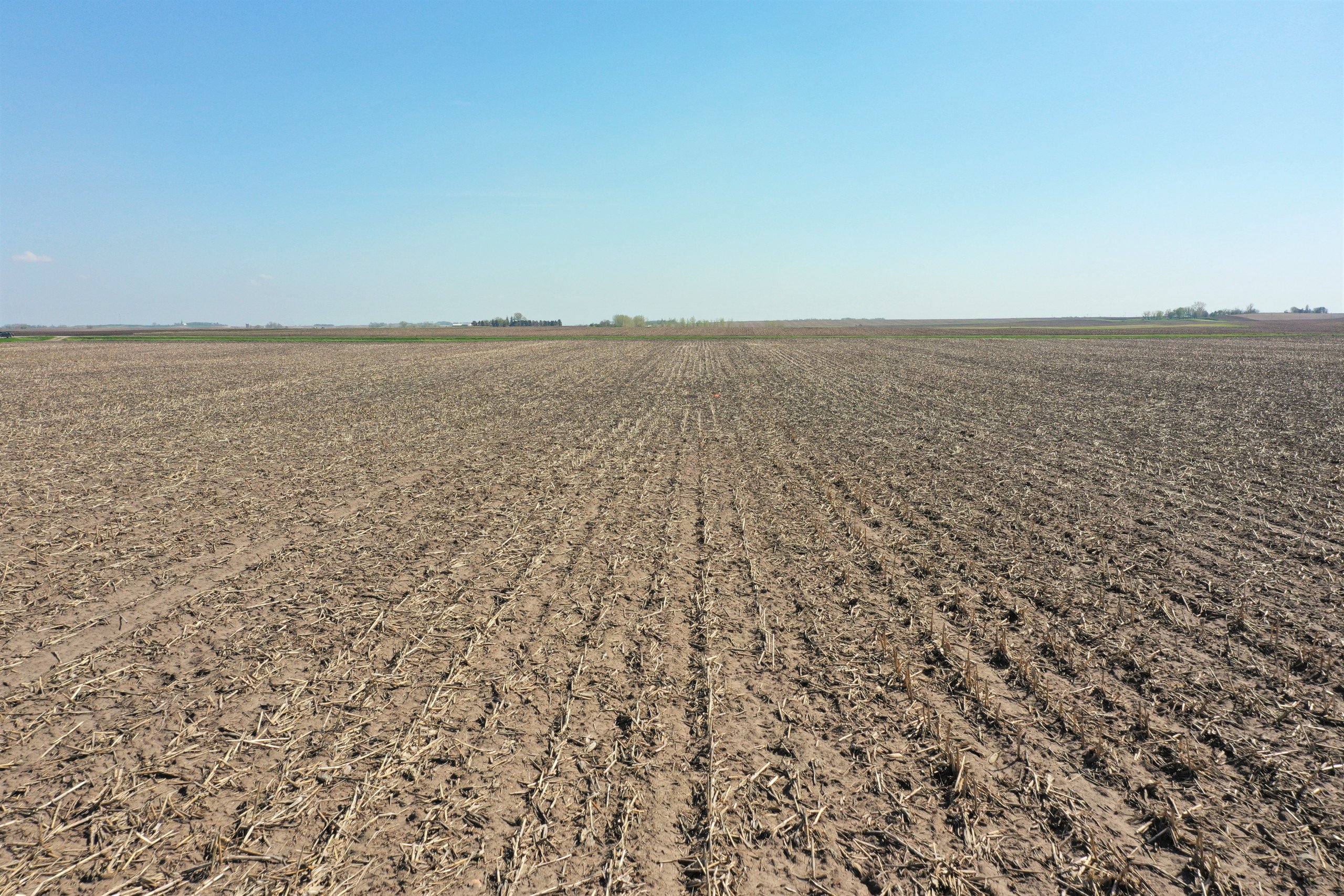 auctions-land-wright-county-iowa-80-acres-listing-number-16197-DJI_0313-4.jpg