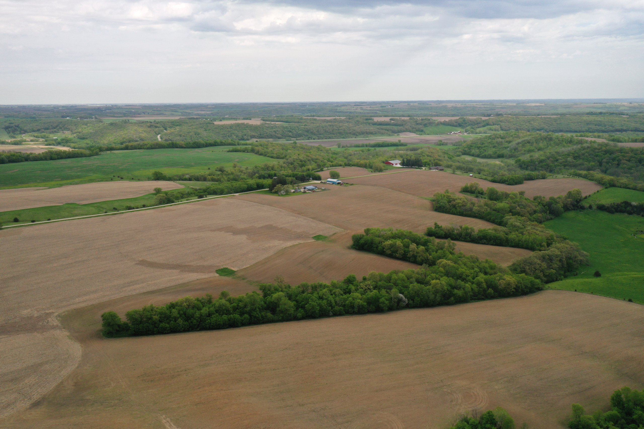 land-olmsted-county-minnesota-53-acres-listing-number-16199-Ground 2-7.jpg