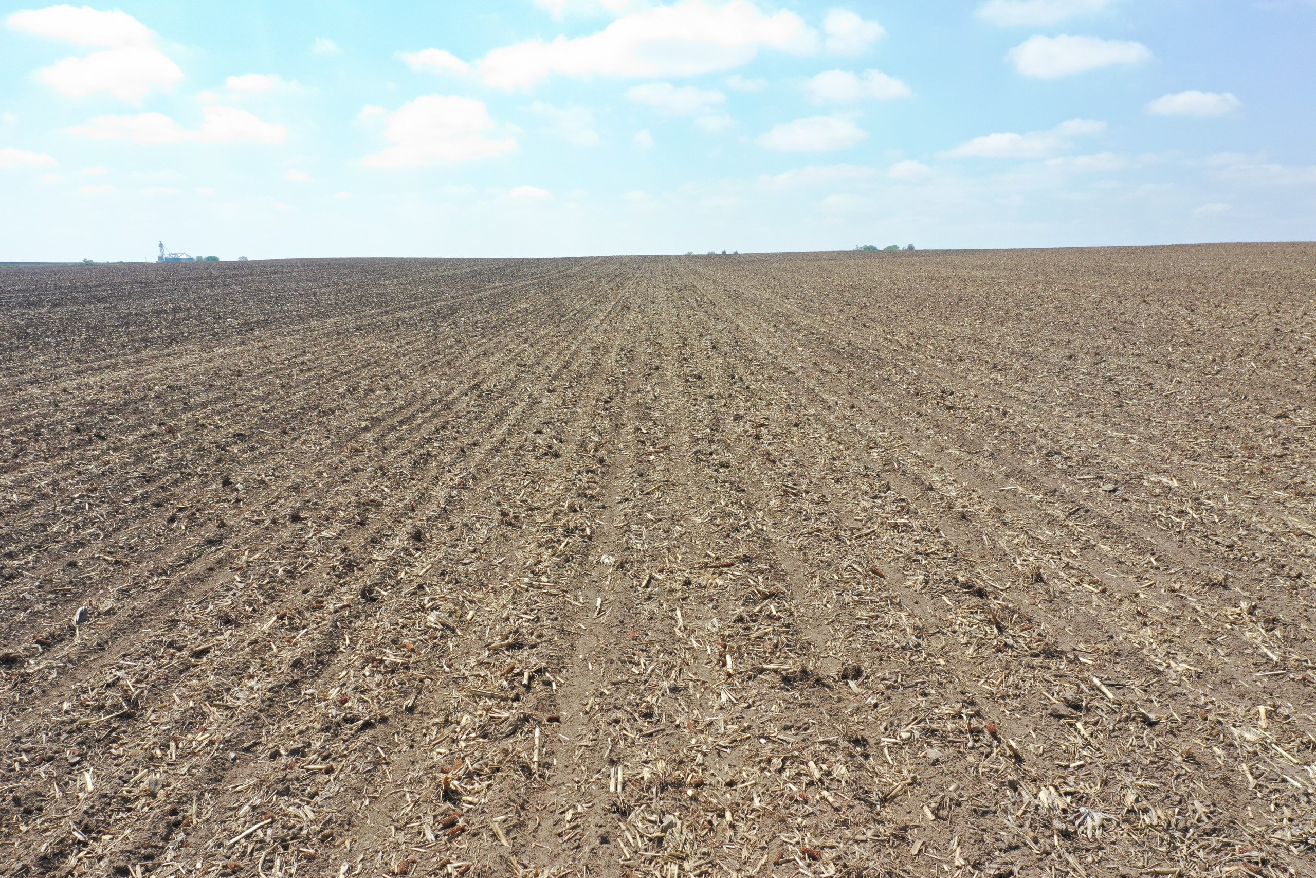 land-buchanan-county-iowa-153-acres-listing-number-16205-DJI_0971-1.jpg