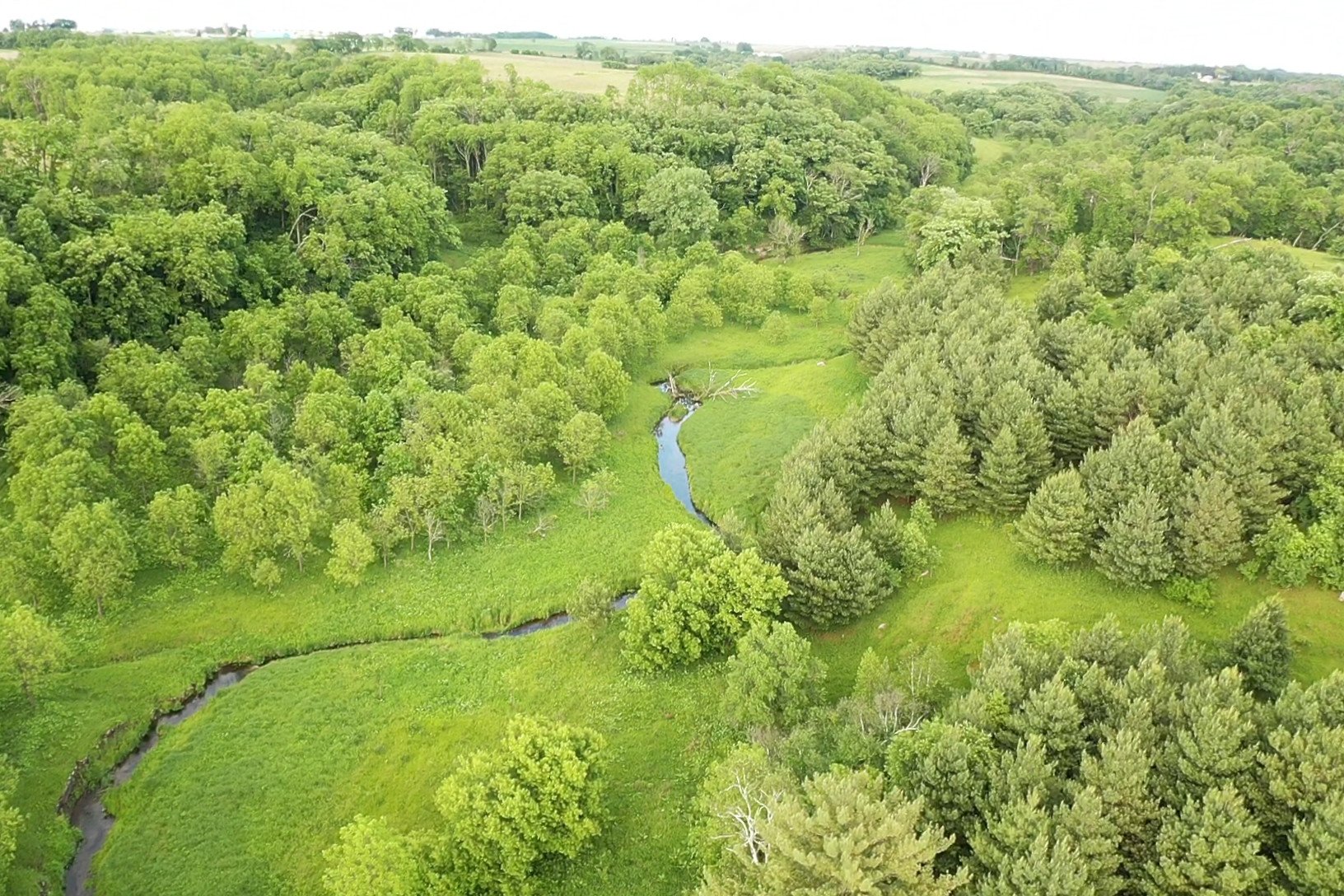 auctions-land-grant-county-wisconsin-200-acres-listing-number-16211-2-1.jpg