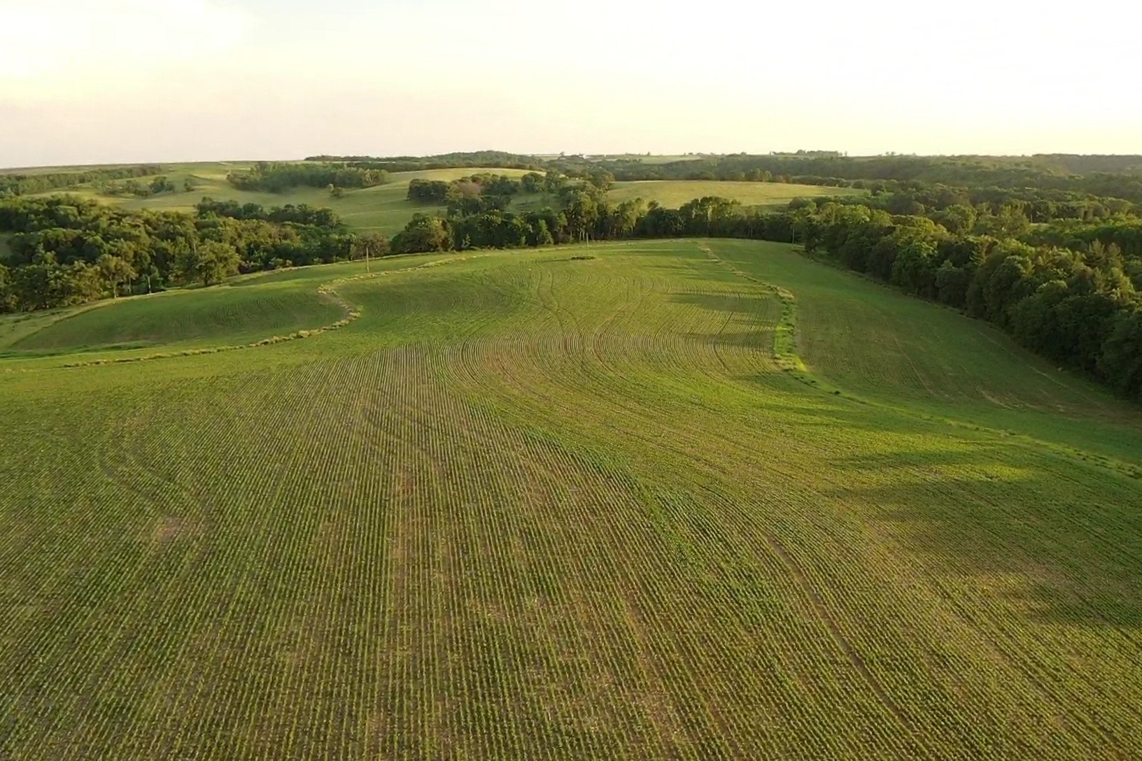 auctions-land-grant-county-wisconsin-200-acres-listing-number-16211-screen_03db885b37f288b4_1655859837339-2.jpg