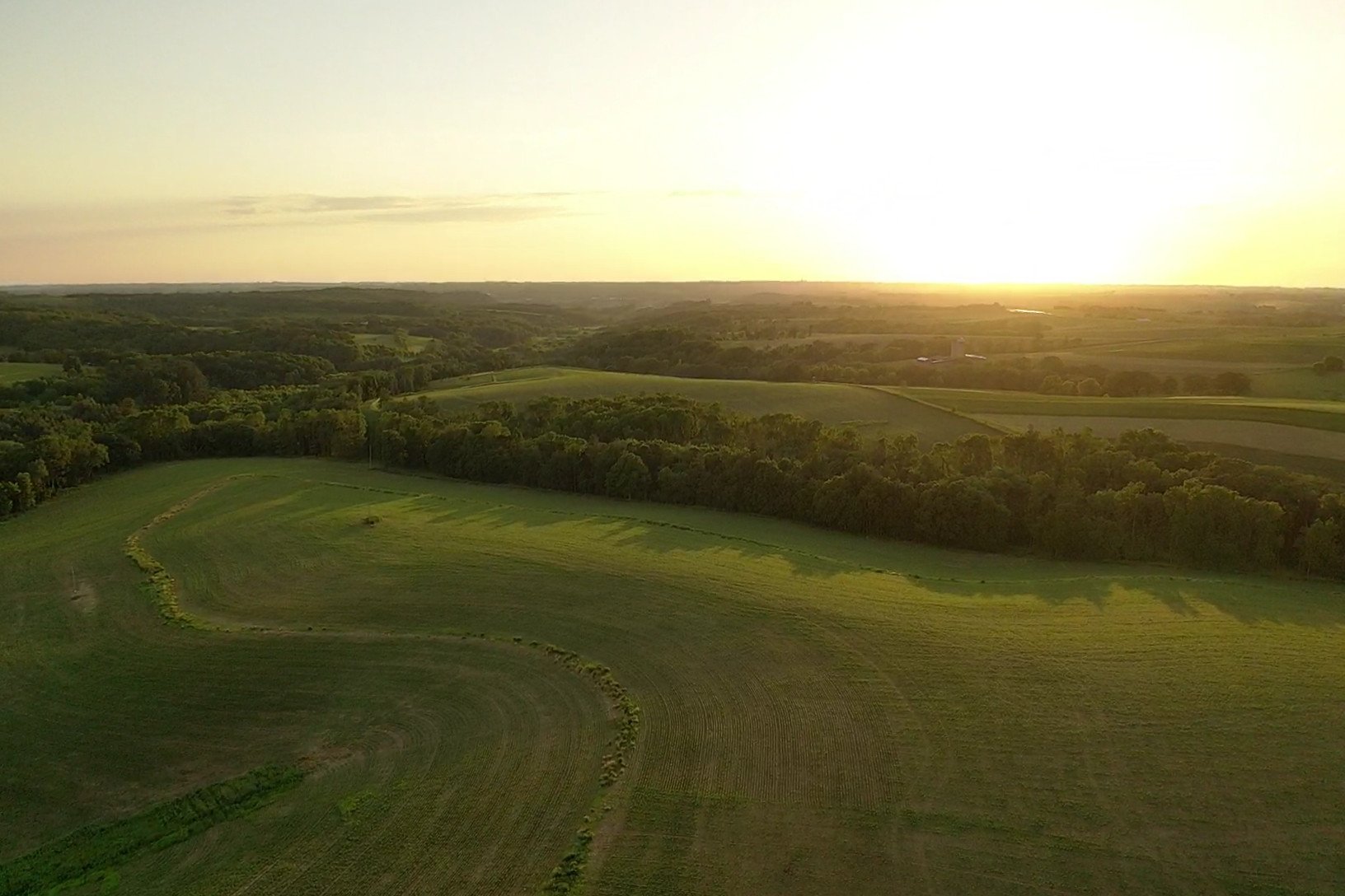 auctions-land-grant-county-wisconsin-200-acres-listing-number-16211-screen_155f6c43a0b6eca0_1655860224408-1.jpg