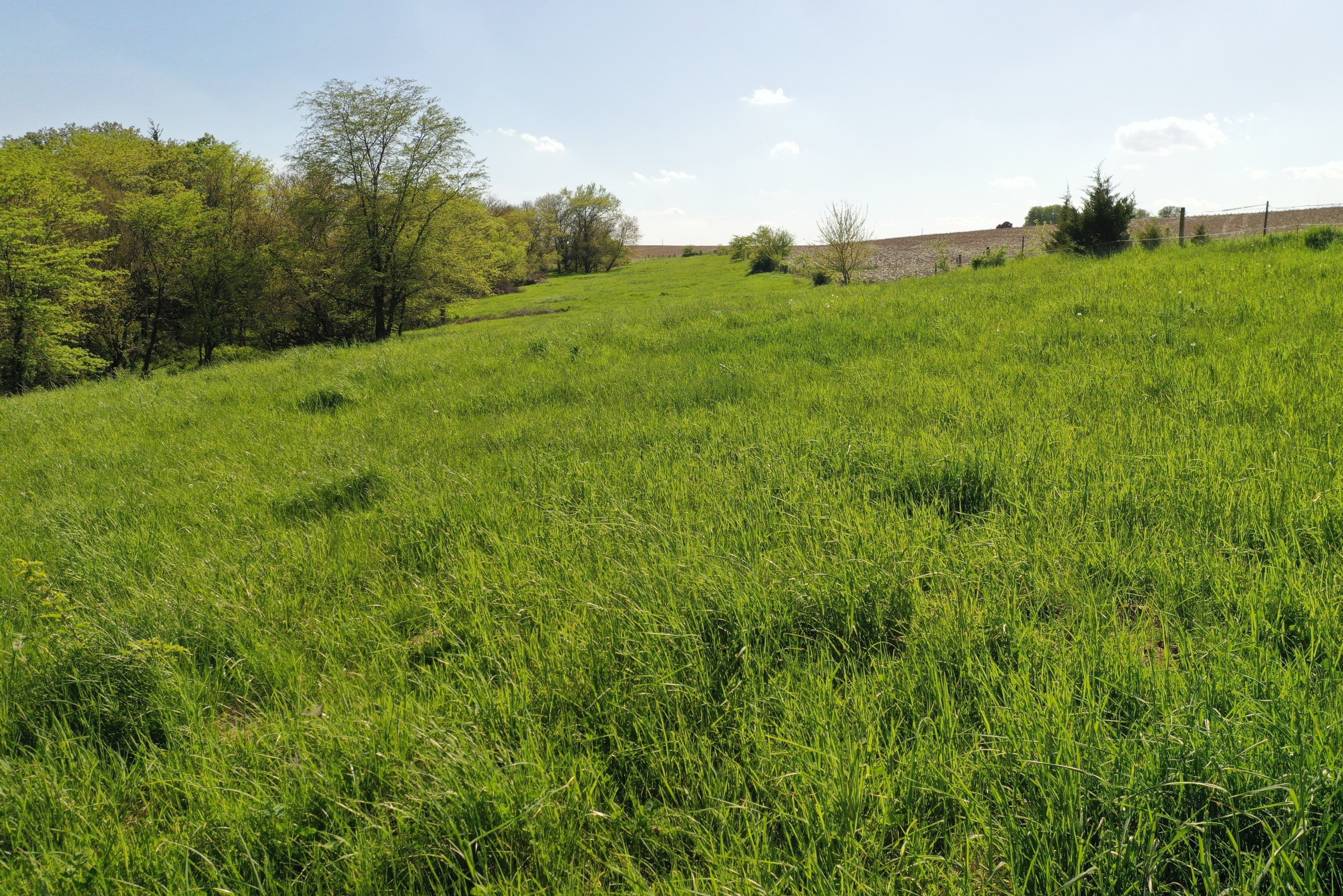 Guthrie County Iowa Farmland For Sale