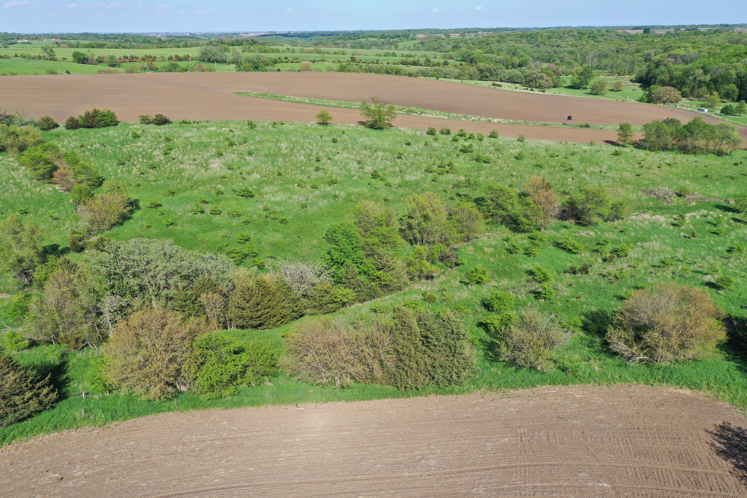 Guthrie County Iowa Farmland For Sale