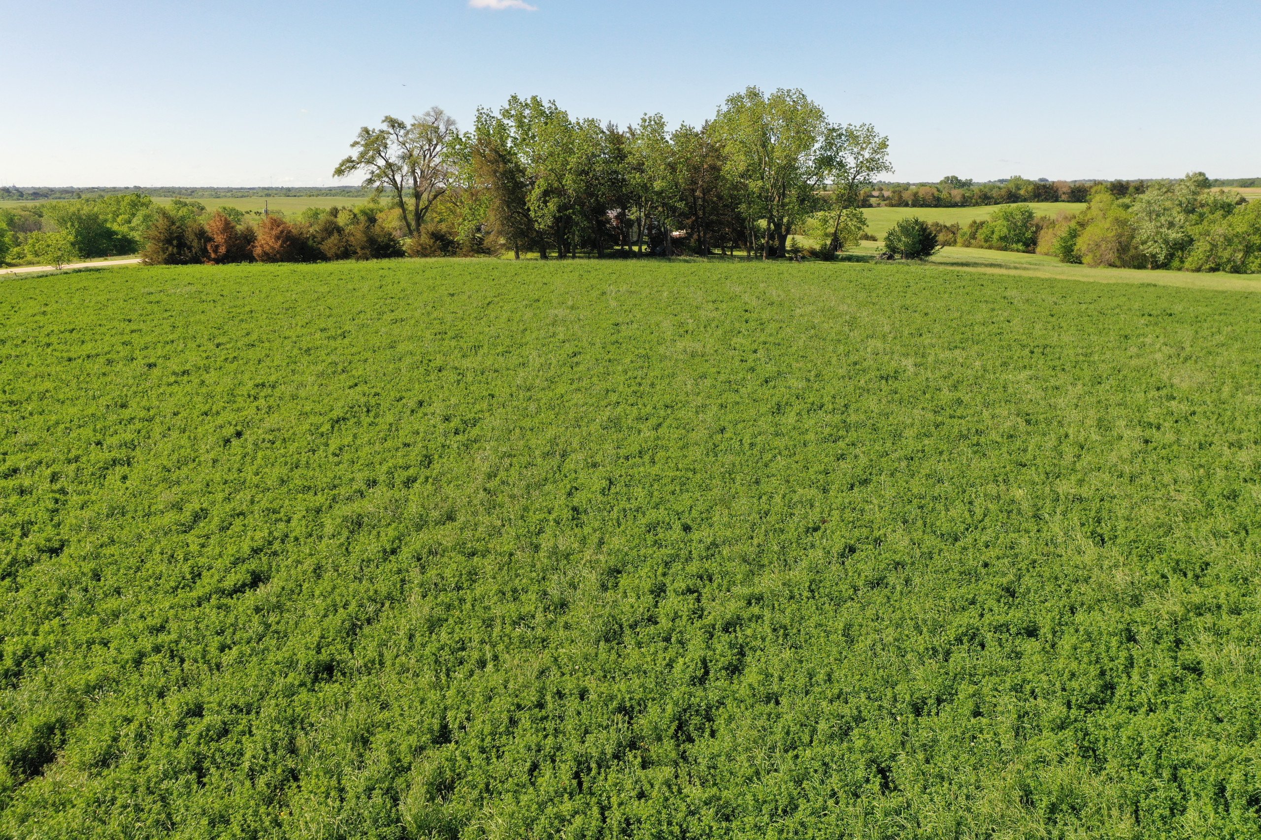 Clarke County Iowa Farmland For Sale