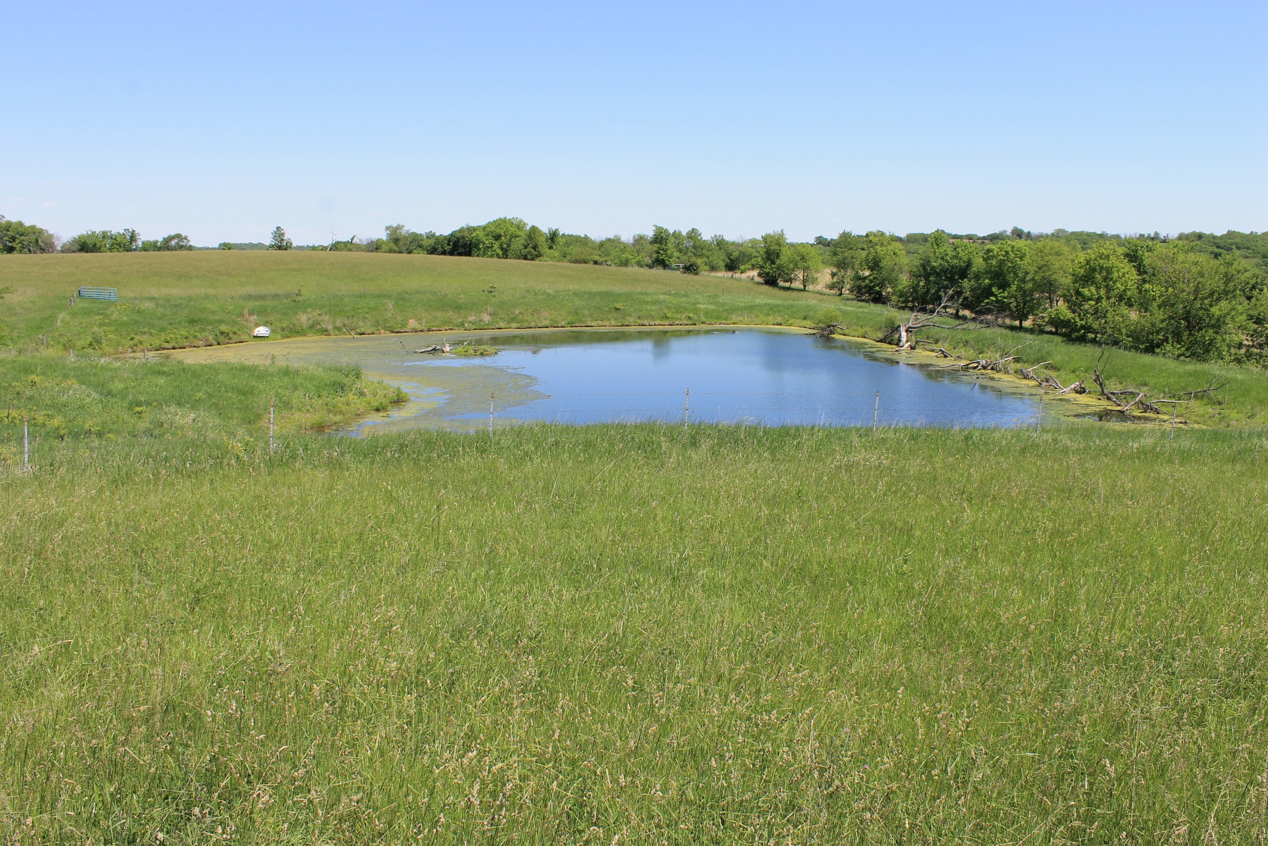 Madison county Iowa land for sale Kenny Herring