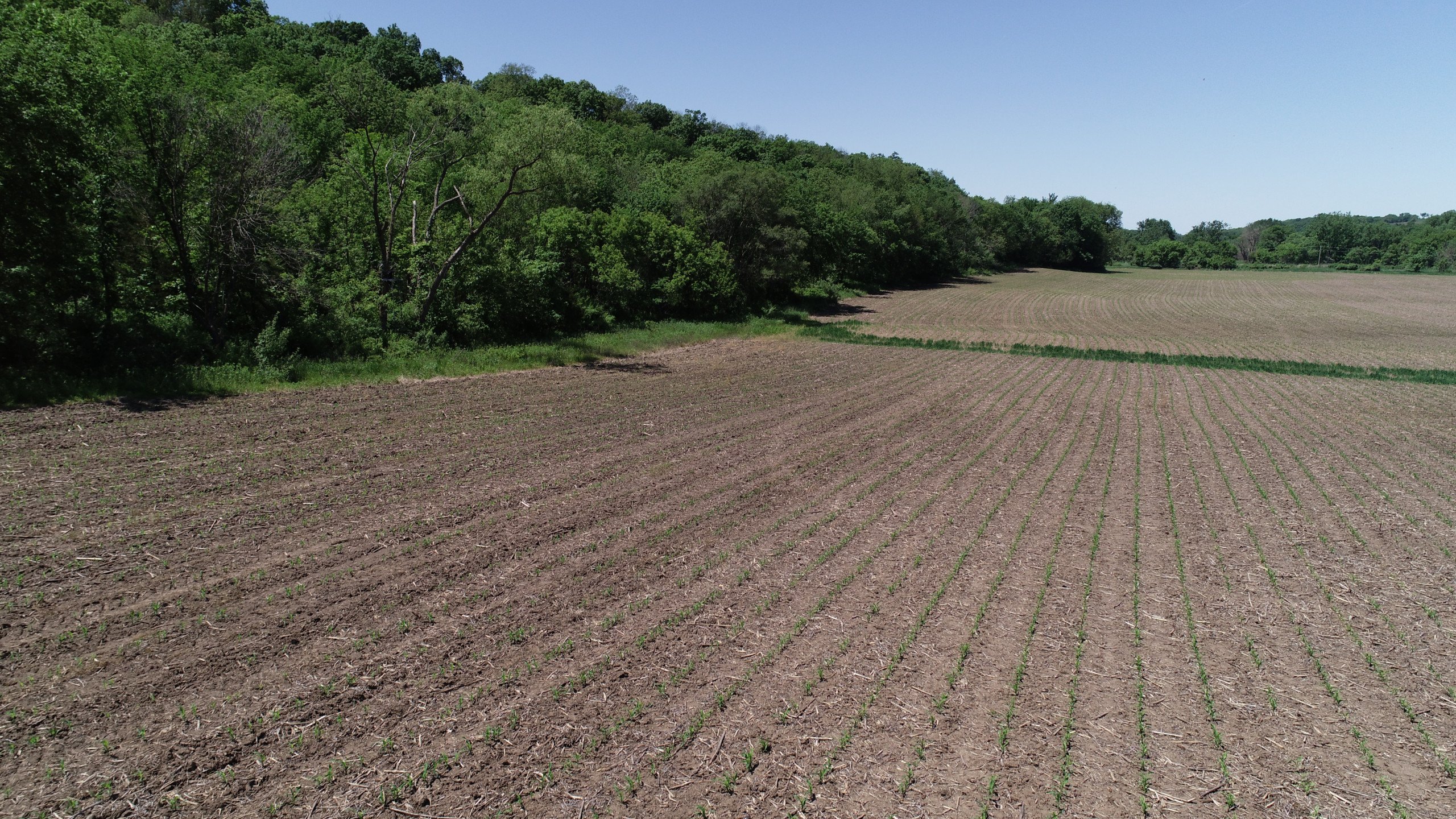 Madison county Iowa land for sale Kenny Herring