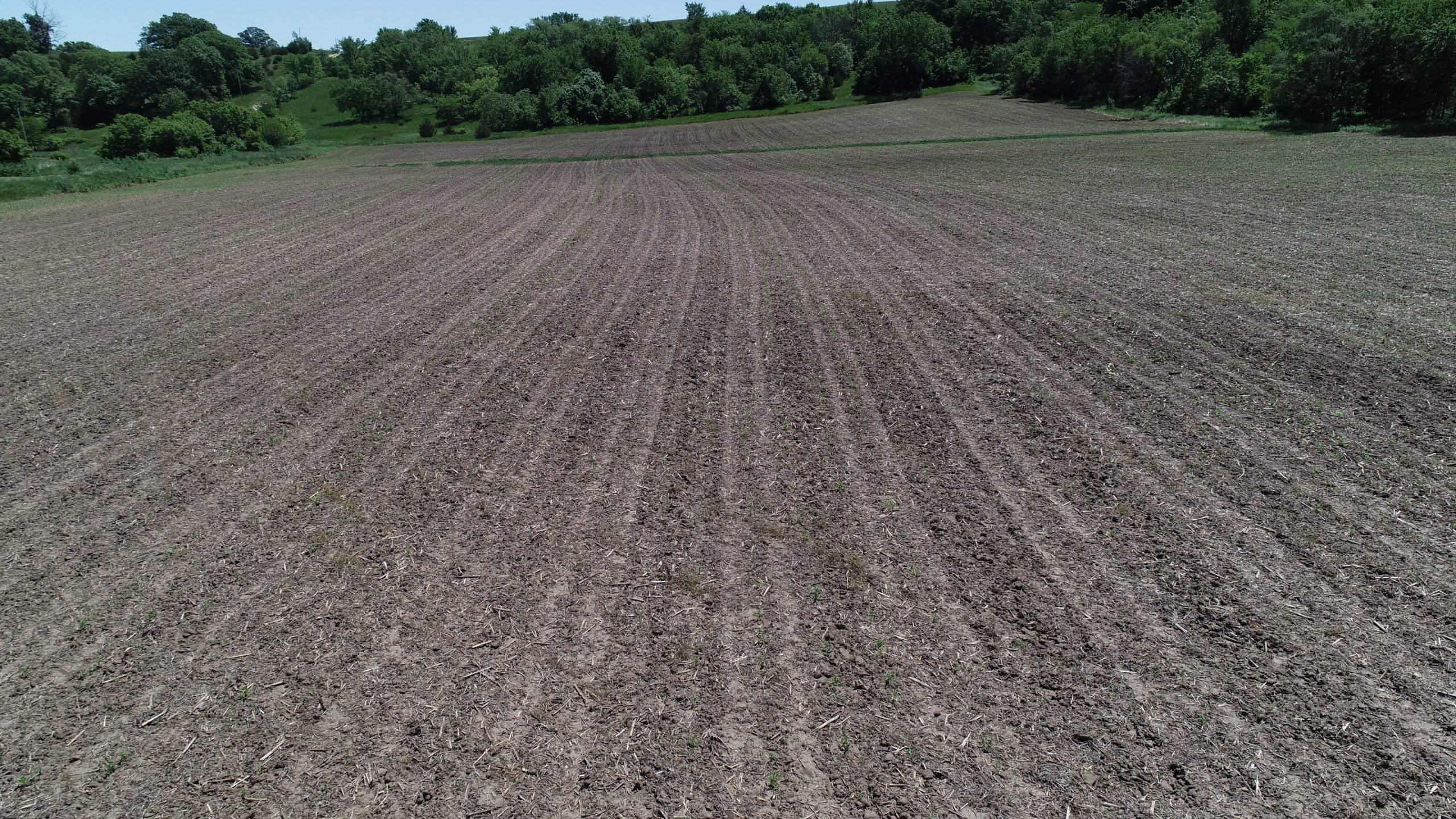 Madison county Iowa land for sale Kenny Herring