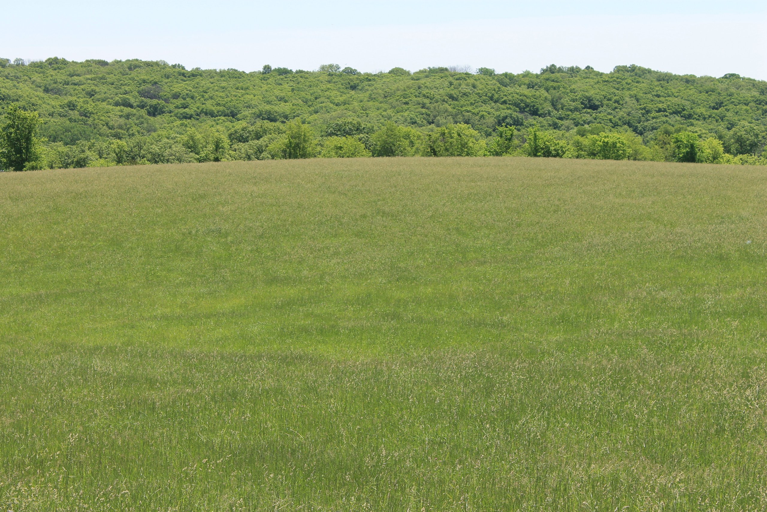 Madison county Iowa land for sale Kenny Herring