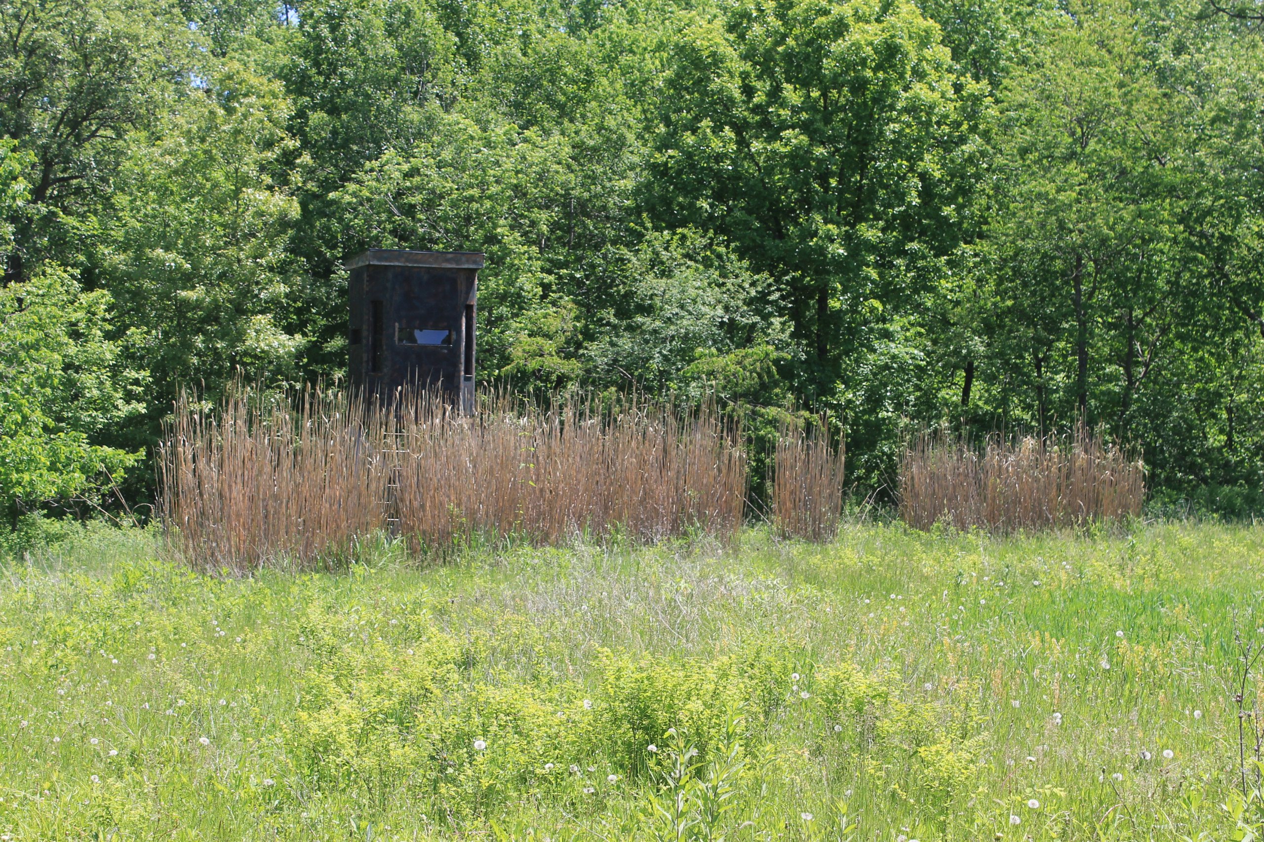 Madison county Iowa land for sale Kenny Herring