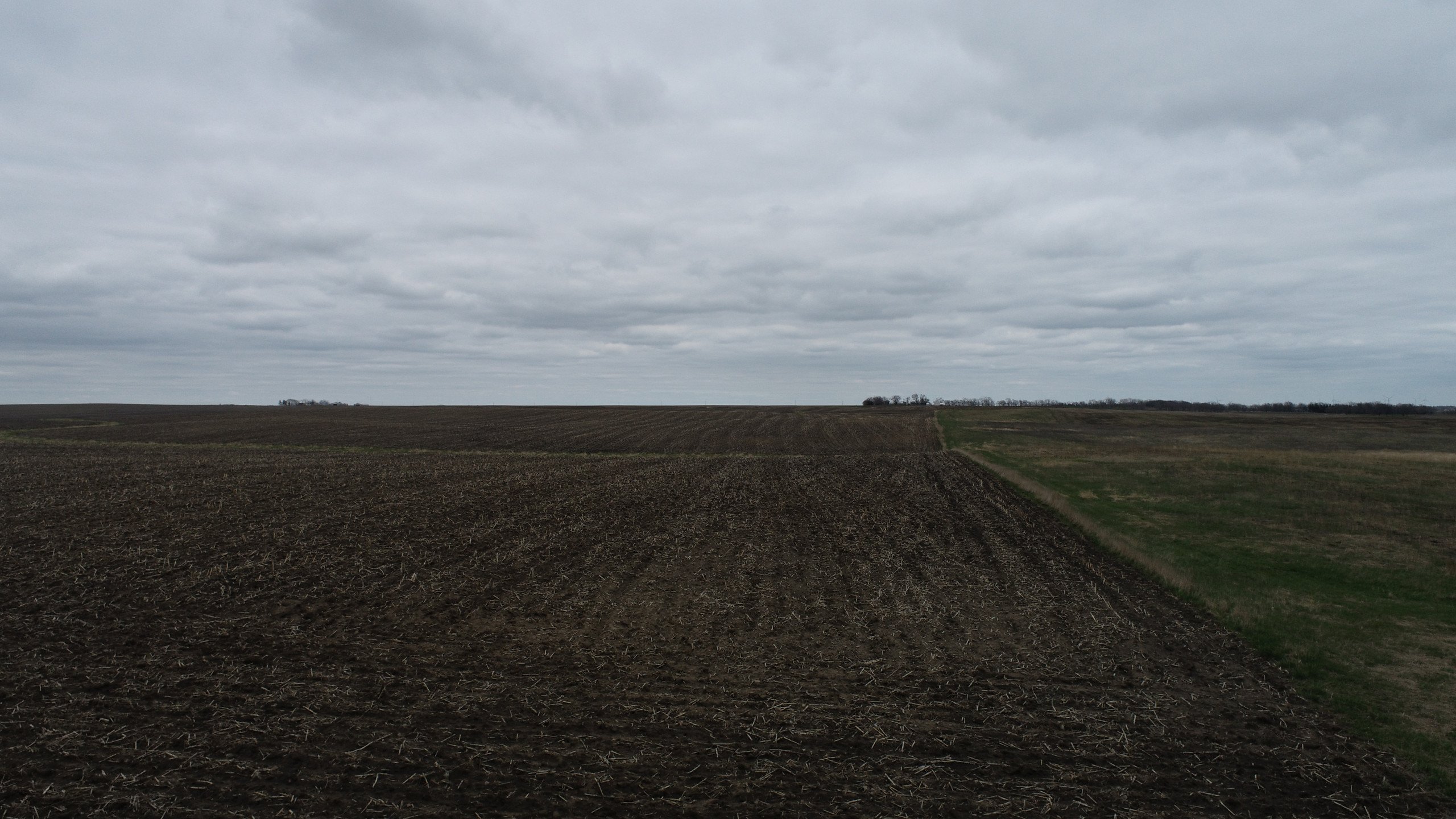 auctions-land-kossuth-county-iowa-241-acres-listing-number-16236-DJI_0275-0.jpg