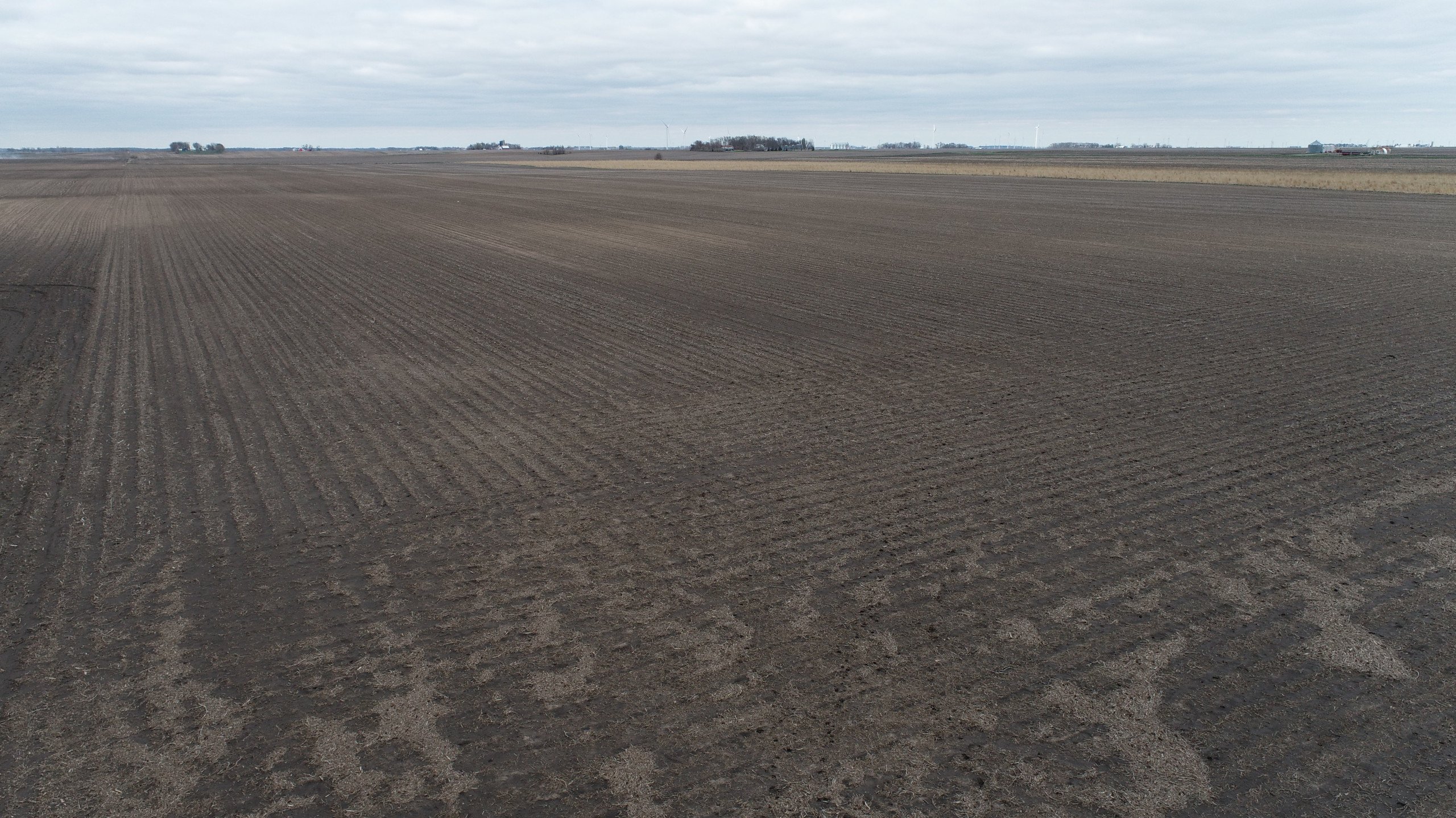 auctions-land-kossuth-county-iowa-241-acres-listing-number-16236-DJI_0285-3.jpg