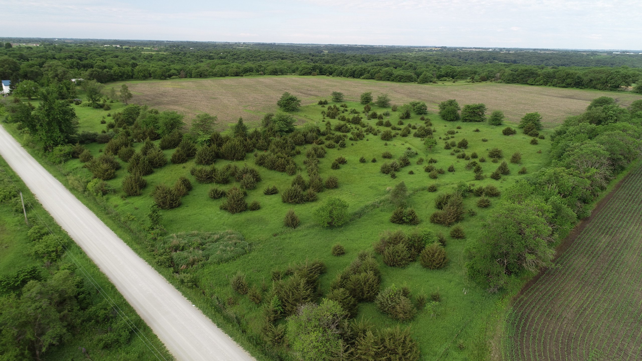 land-madison-county-iowa-38-acres-listing-number-16249-DJI_0038-1.jpg