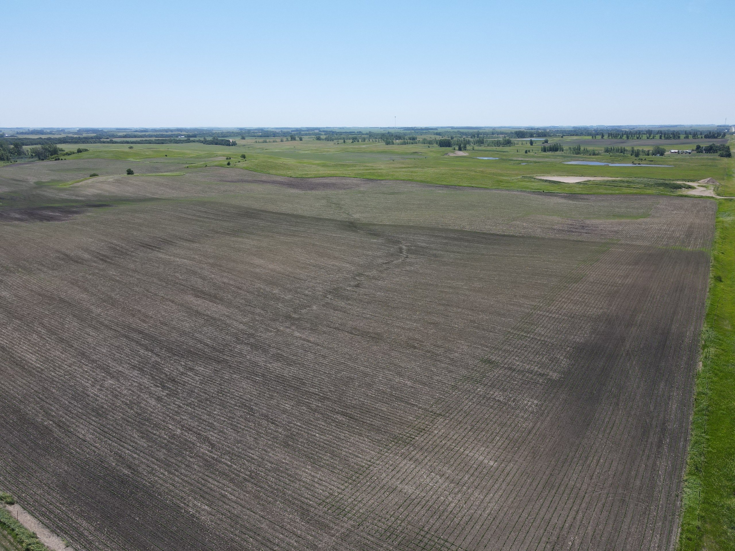 83 Acres Tillable Land Russell MN 