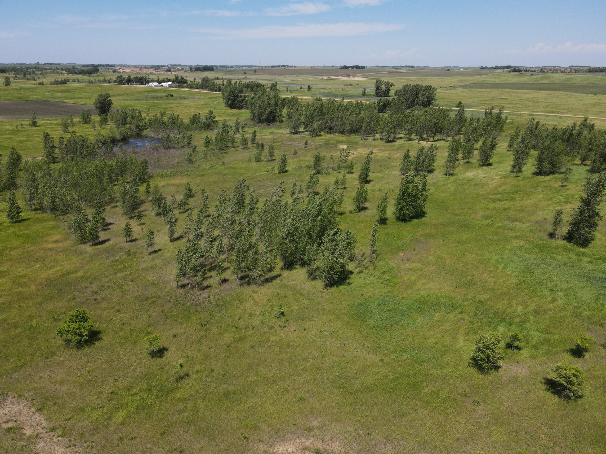 40 Acres Russell MN 