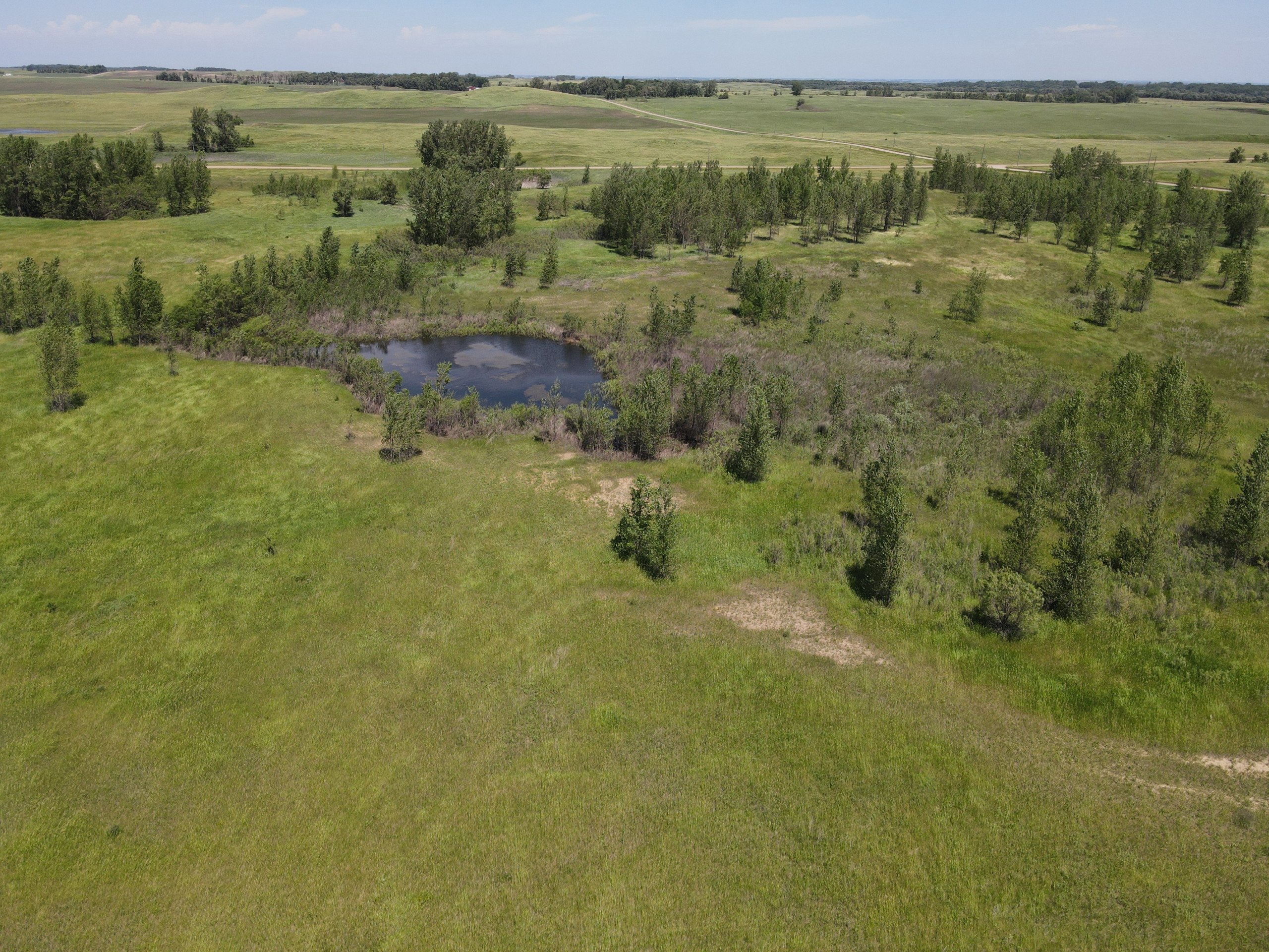 40 Acres Russell MN 