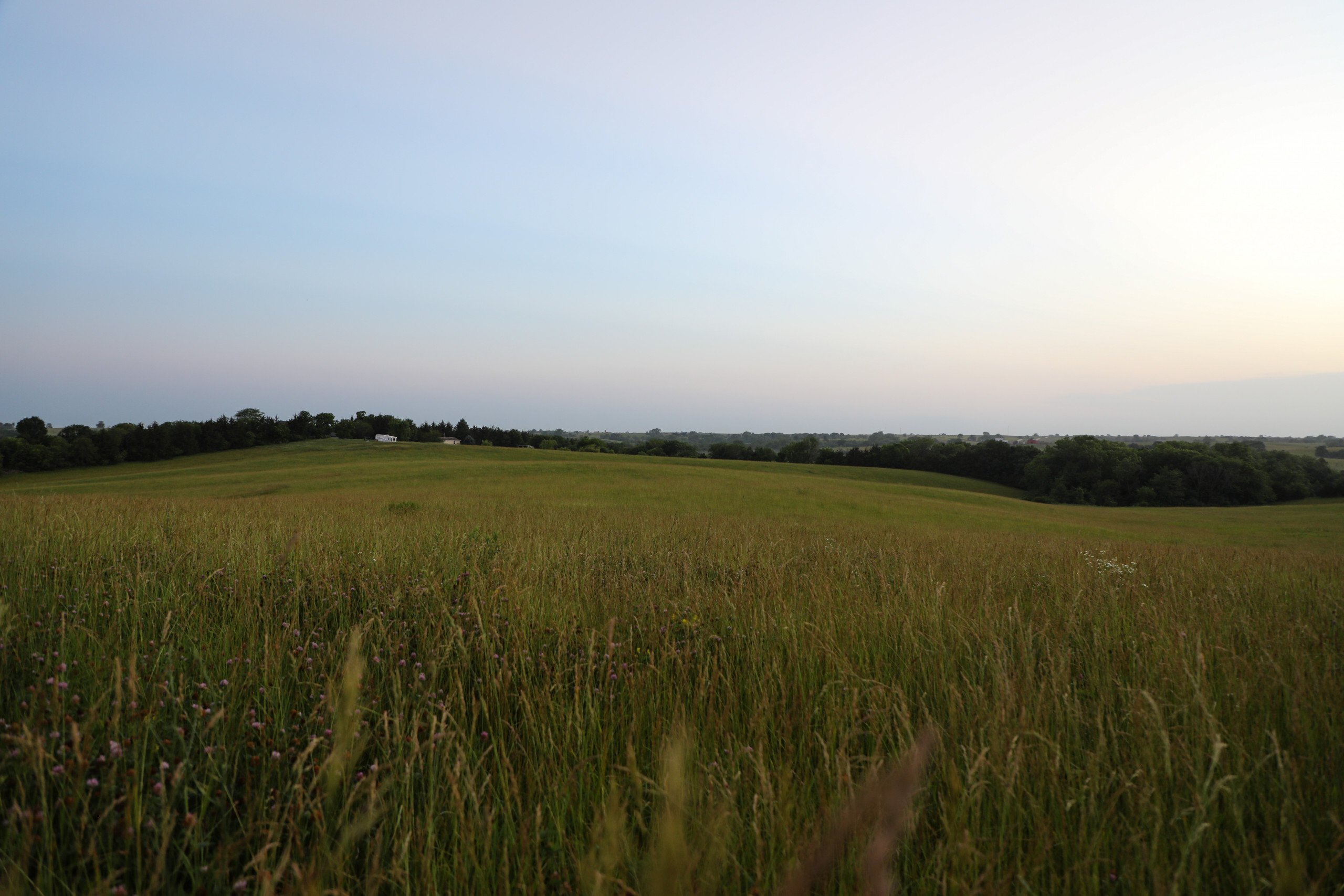 auctions-land-decatur-county-iowa-208-acres-listing-number-16256-Peoples_Company_Decatur_County_Iowa_Land_Auction-54-0.jpg