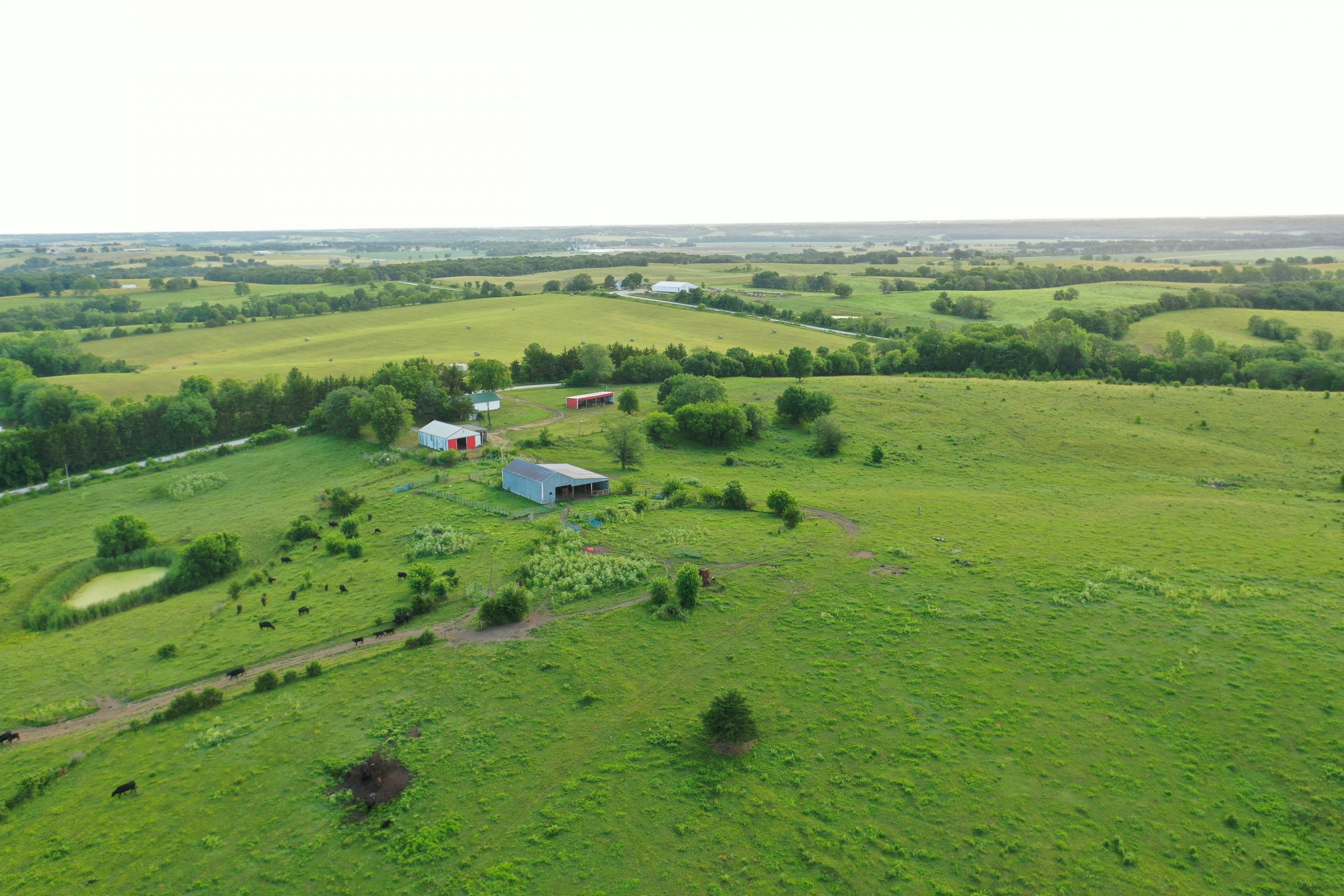 3-19317-300th-street-davis-city-50065-Peoples_Company_Decatur_County_Iowa_Land_Auction-38-1.jpg