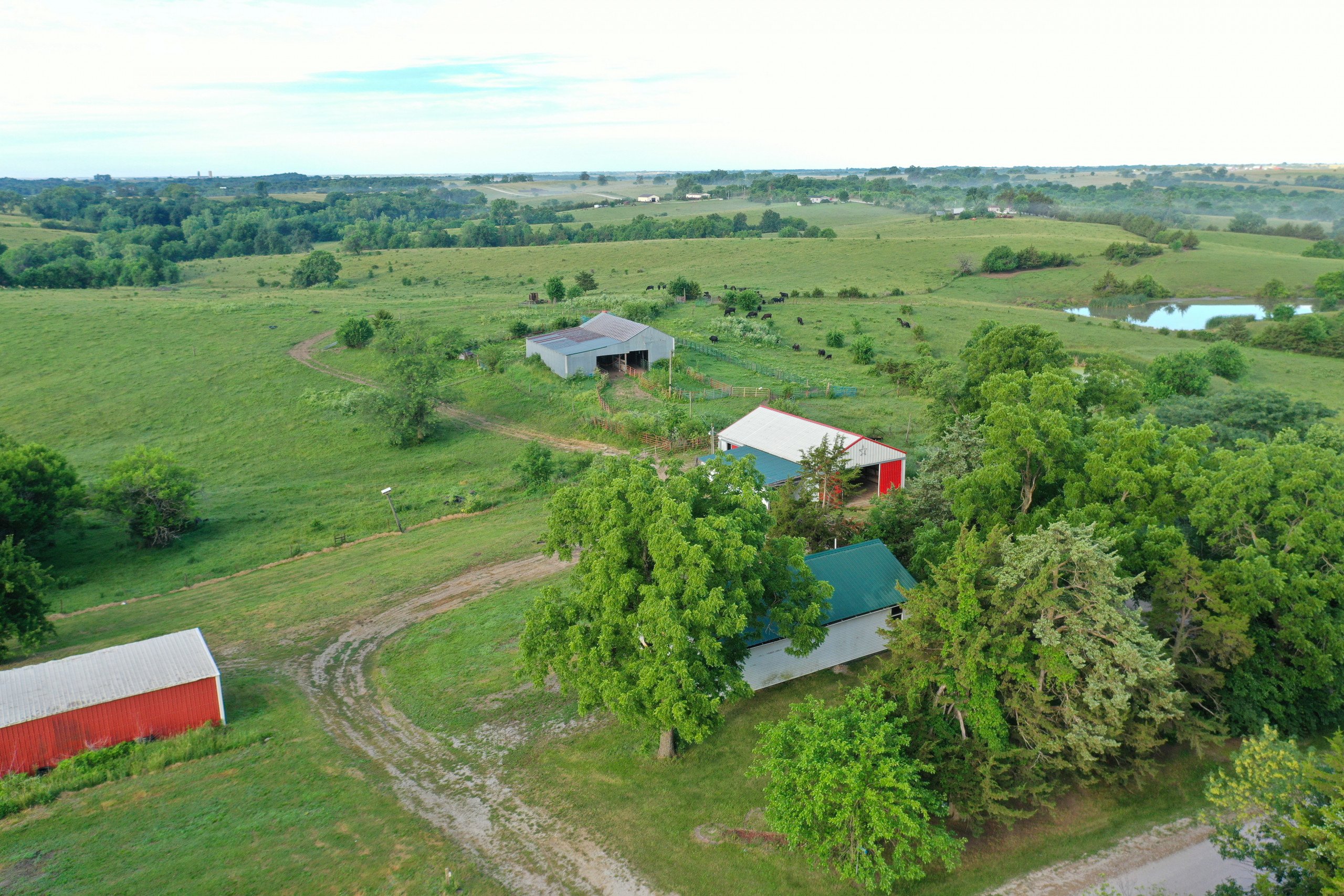 3-19317-300th-street-davis-city-50065-Peoples_Company_Decatur_County_Iowa_Land_Auction-47-2.jpg