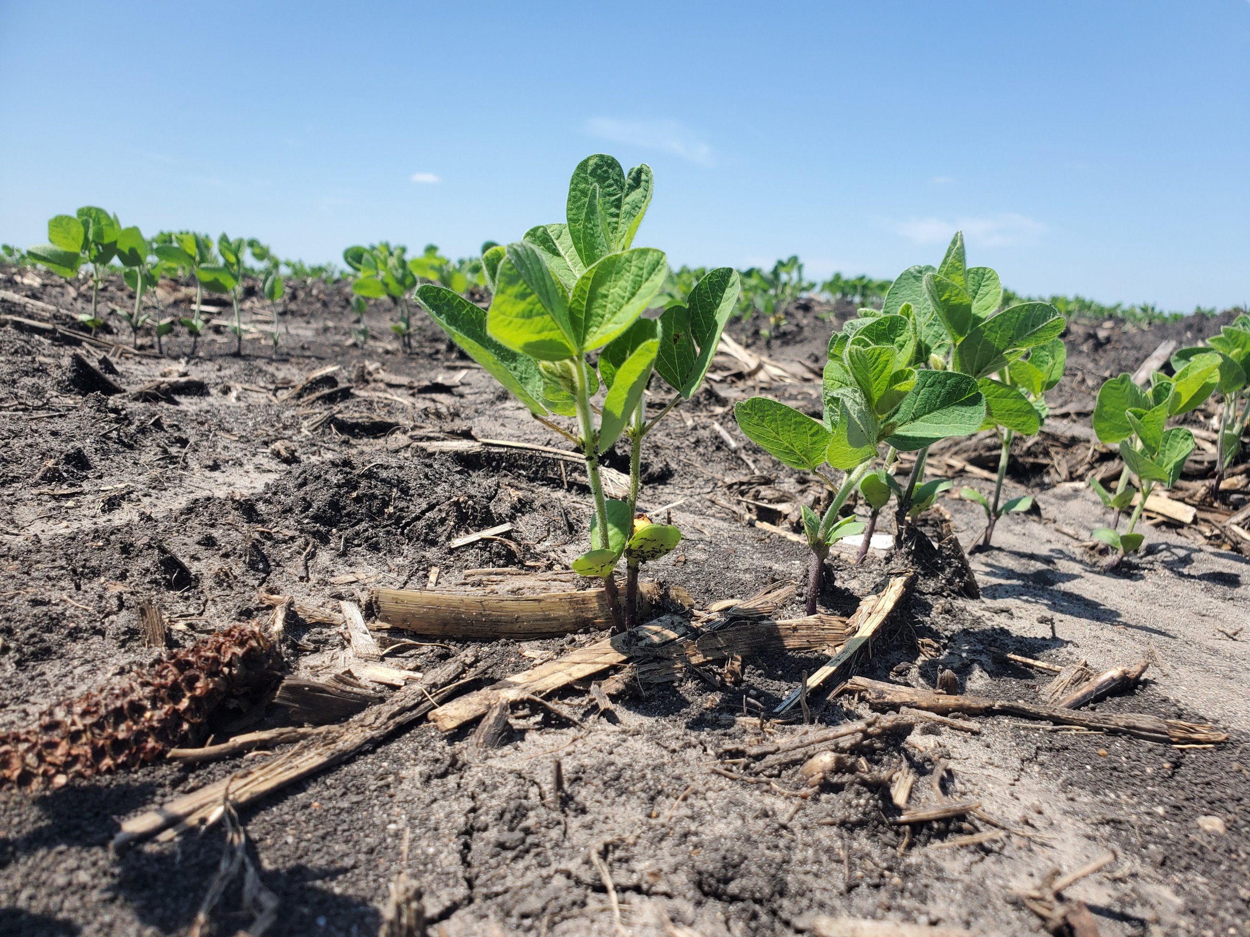Boone County Iowa Farmland For Sale