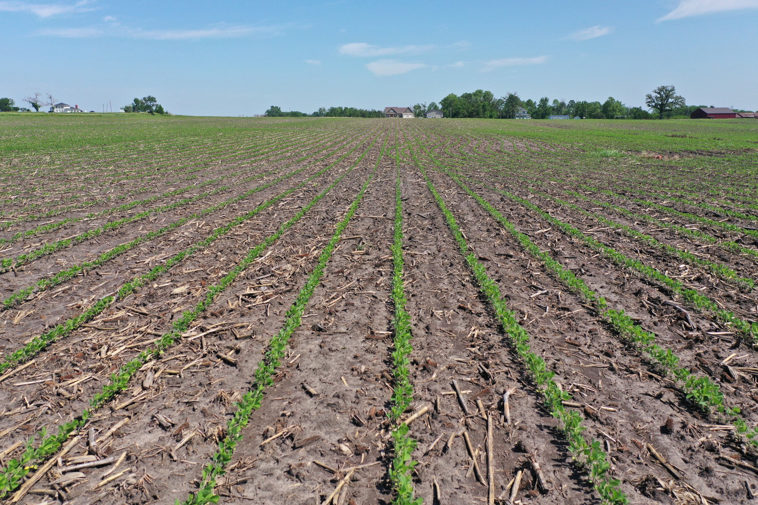 Boone County Iowa Farmland For Sale