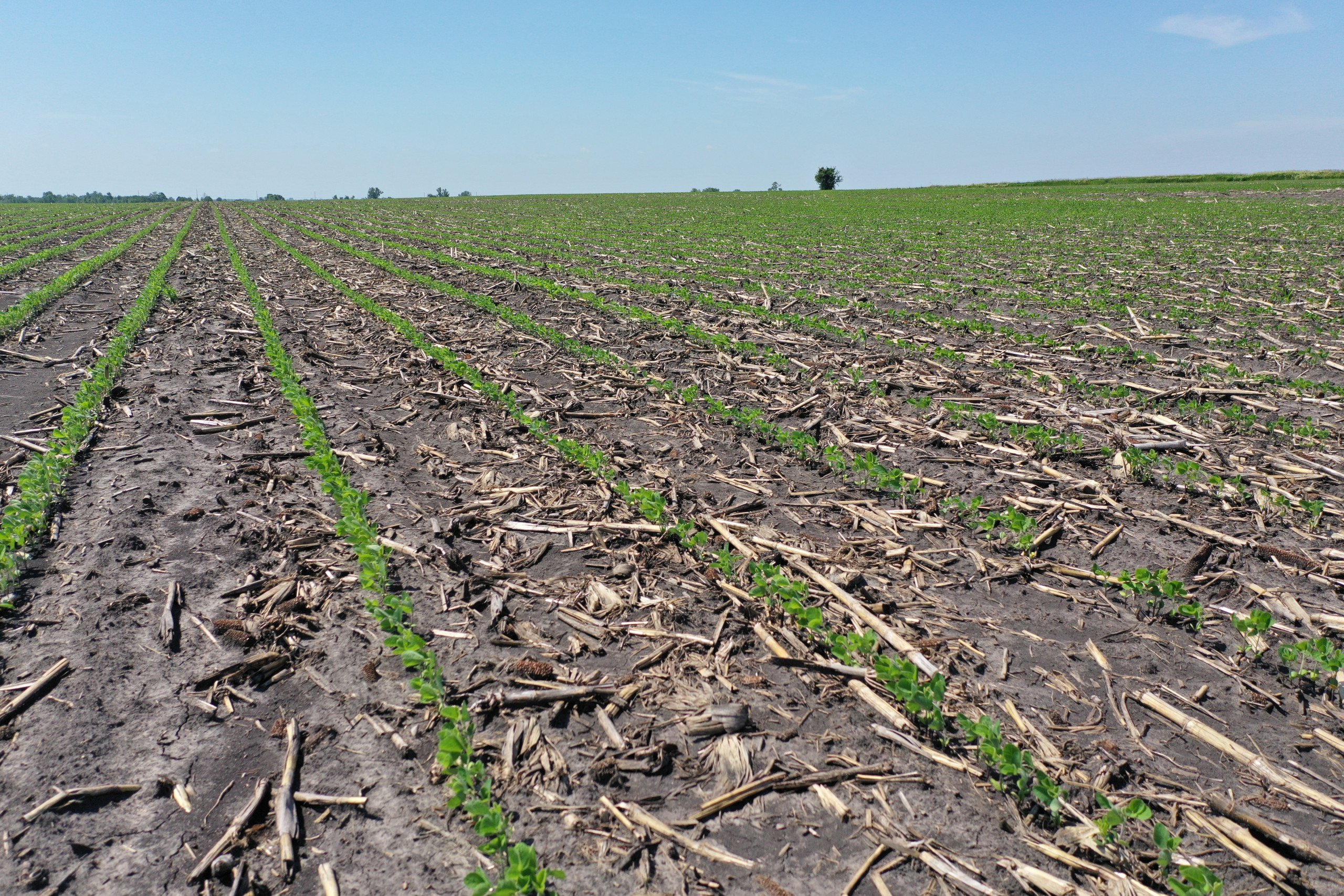 Boone County Iowa Farmland For Sale