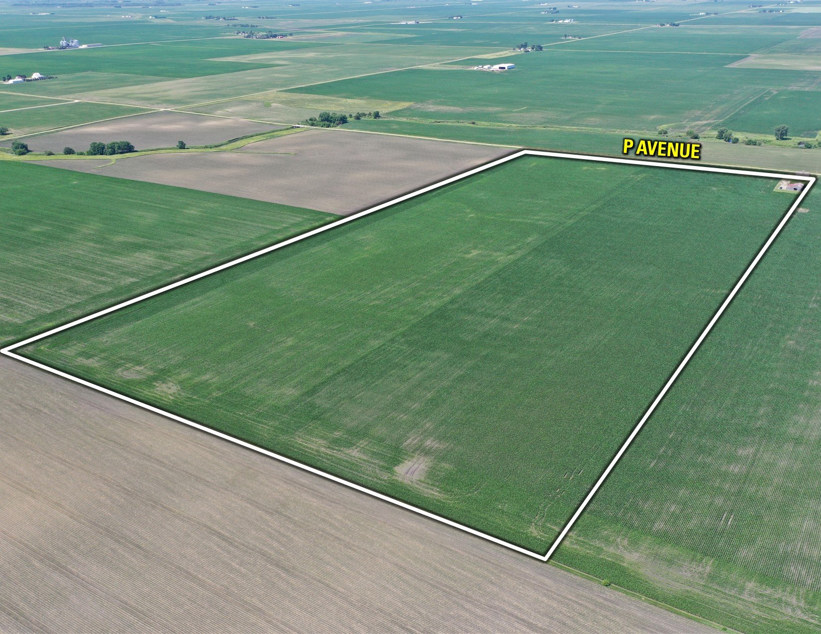 Greene County Iowa Farmland For Sale