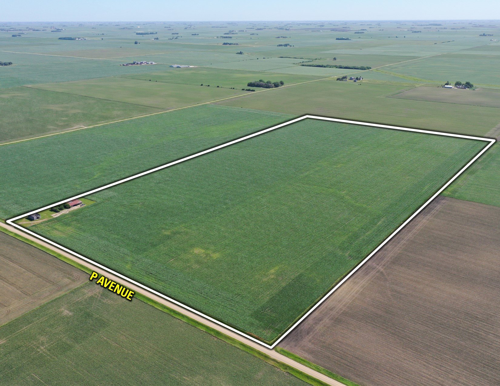 Greene County Iowa Farmland For Sale