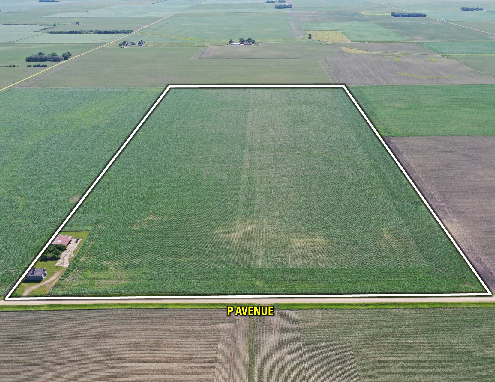 Greene County Iowa Farmland For Sale