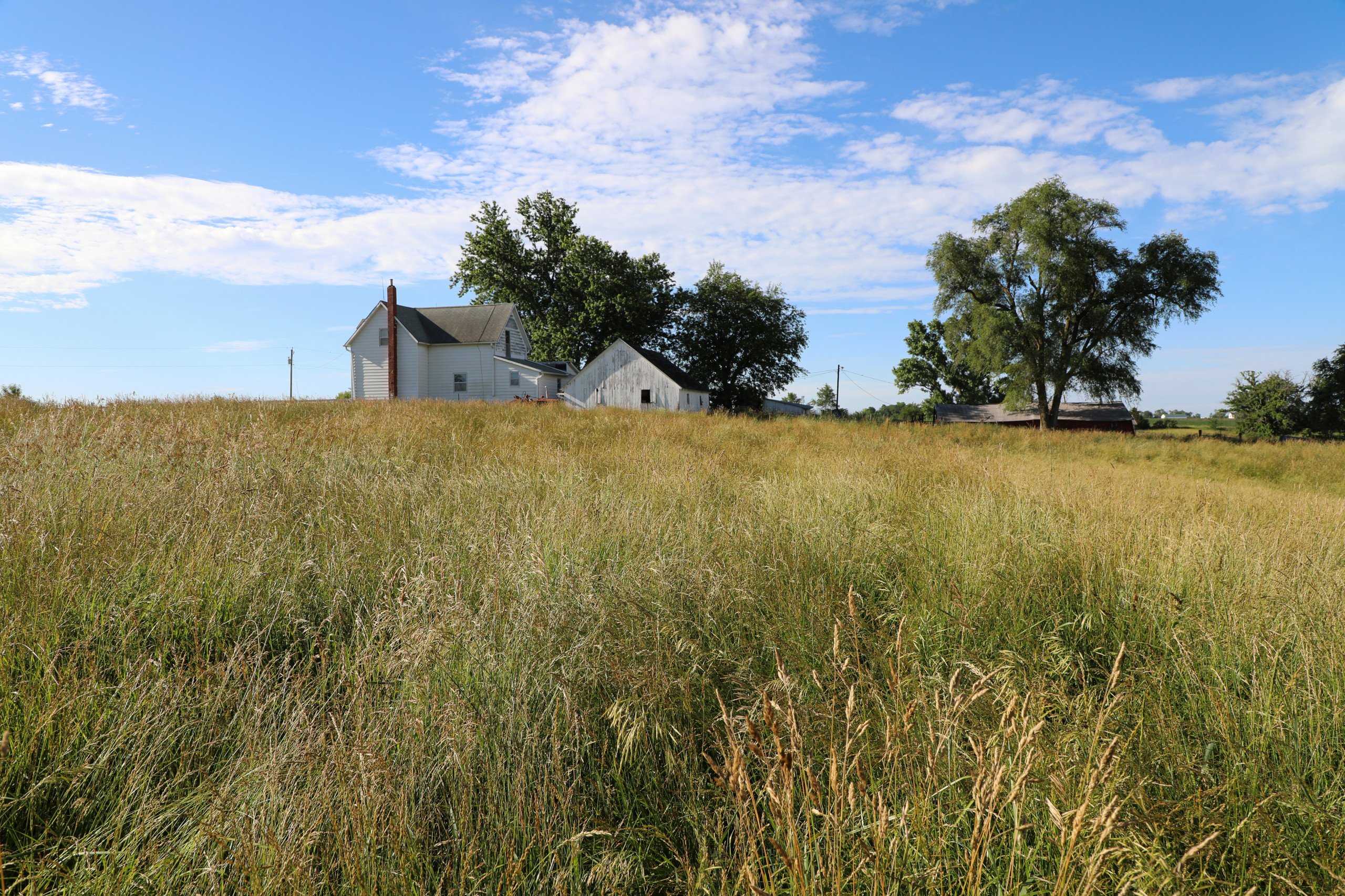 auctions-land-wayne-county-iowa-35-acres-listing-number-16270-Peoples_Company_Wayne_County_Iowa_Land_Auction-17-0.jpg