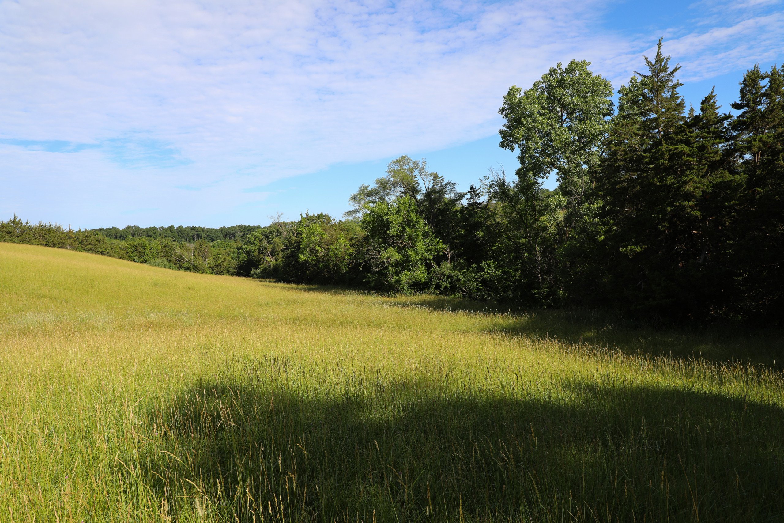 auctions-land-wayne-county-iowa-35-acres-listing-number-16270-Peoples_Company_Wayne_County_Iowa_Land_Auction-20-0.jpg