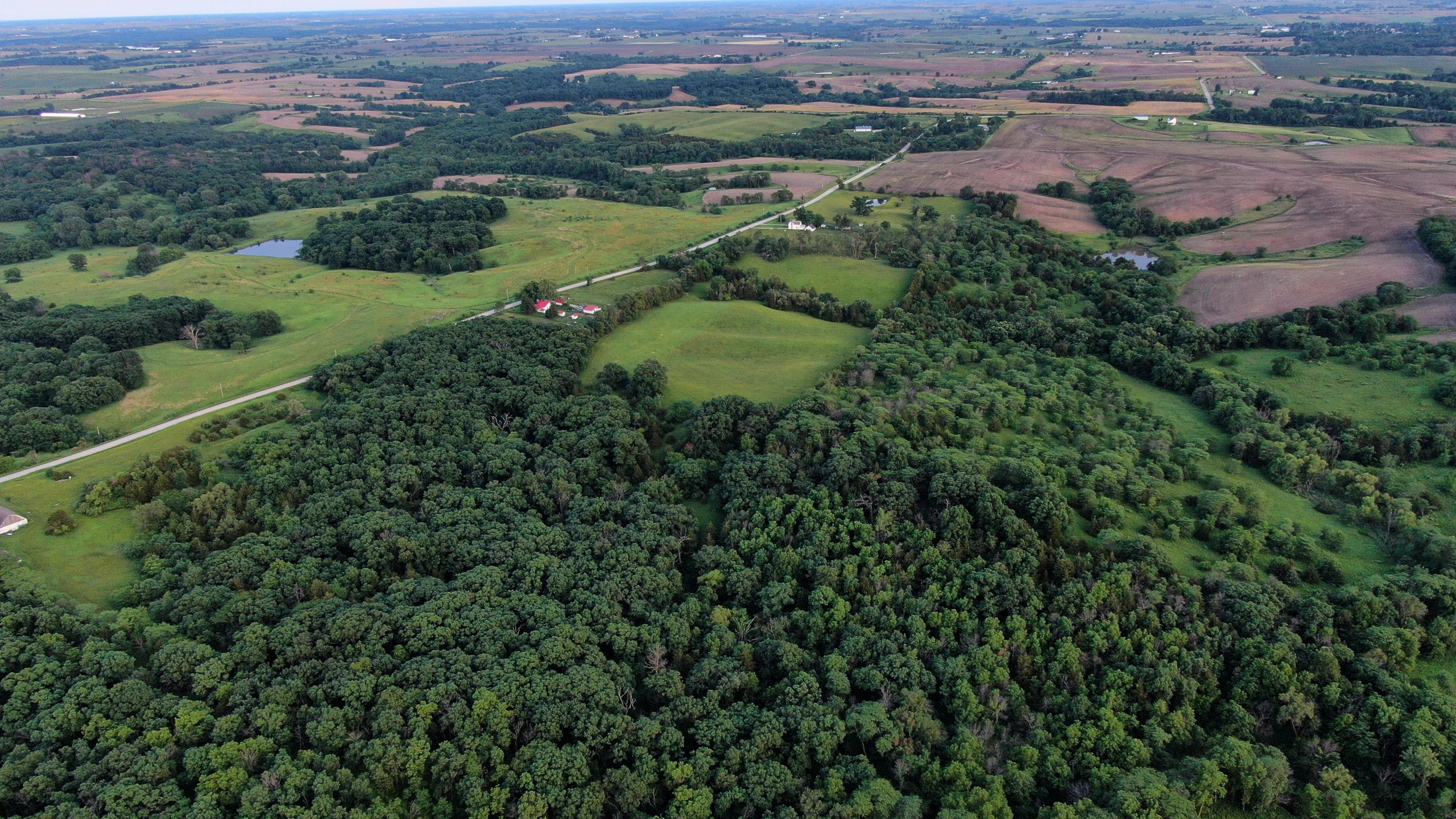 auctions-land-wayne-county-iowa-35-acres-listing-number-16270-Peoples_Company_Wayne_County_Iowa_Land_Auction-8-0.jpg