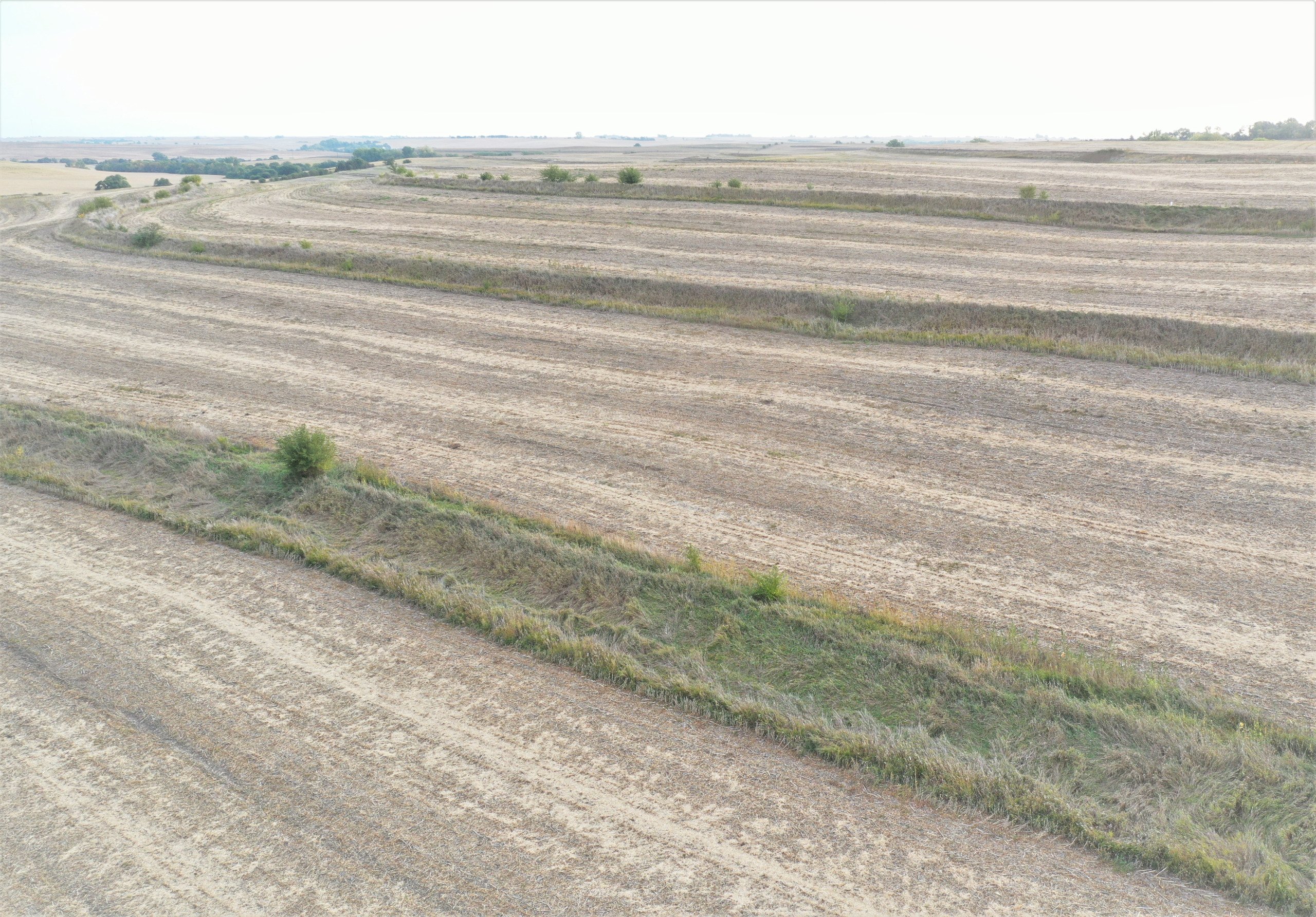 land-burt-county-nebraska-315-acres-listing-number-16273-Mid looking NorthEast ii-6.jpg